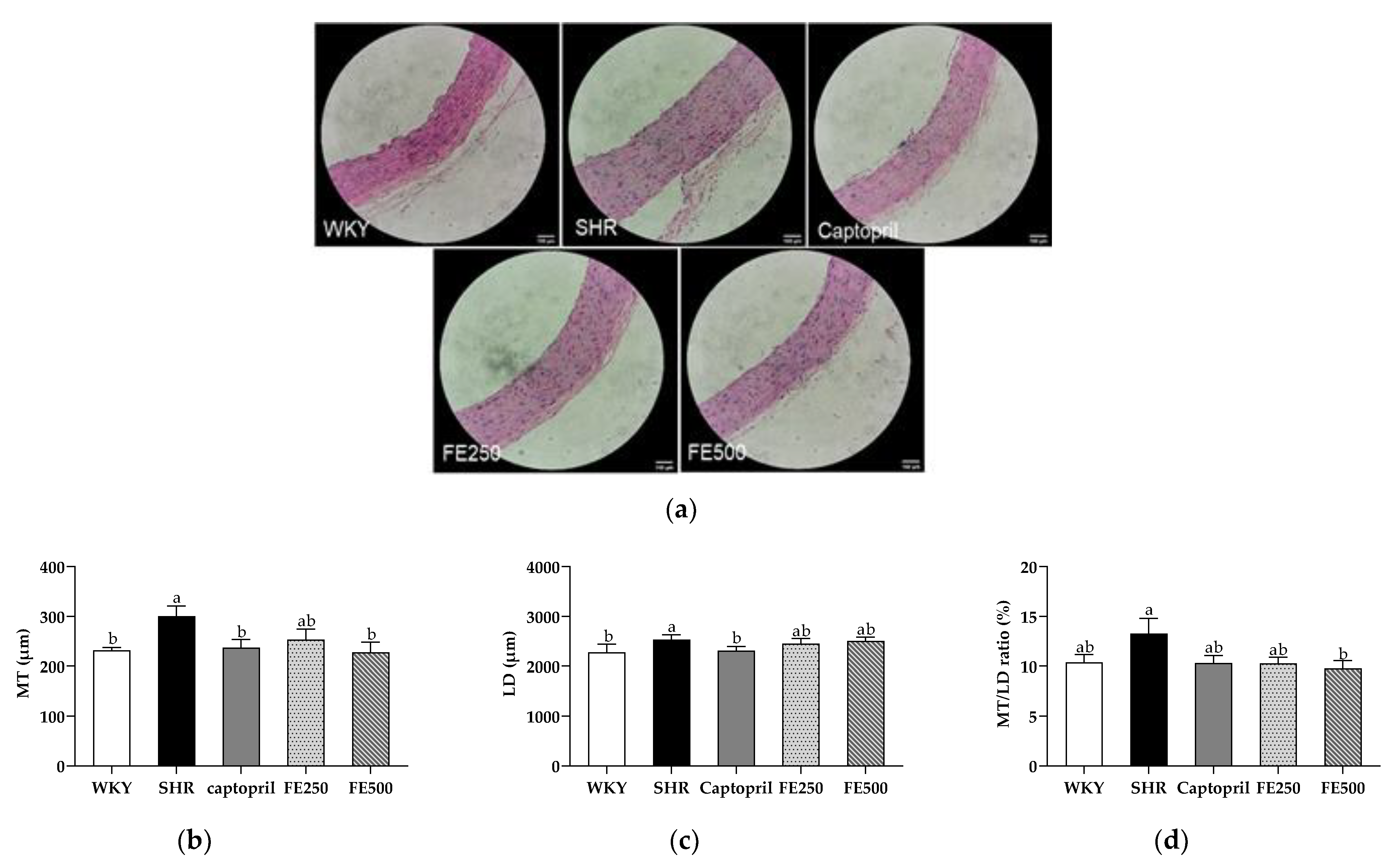 Antioxidants 10 01766 g004