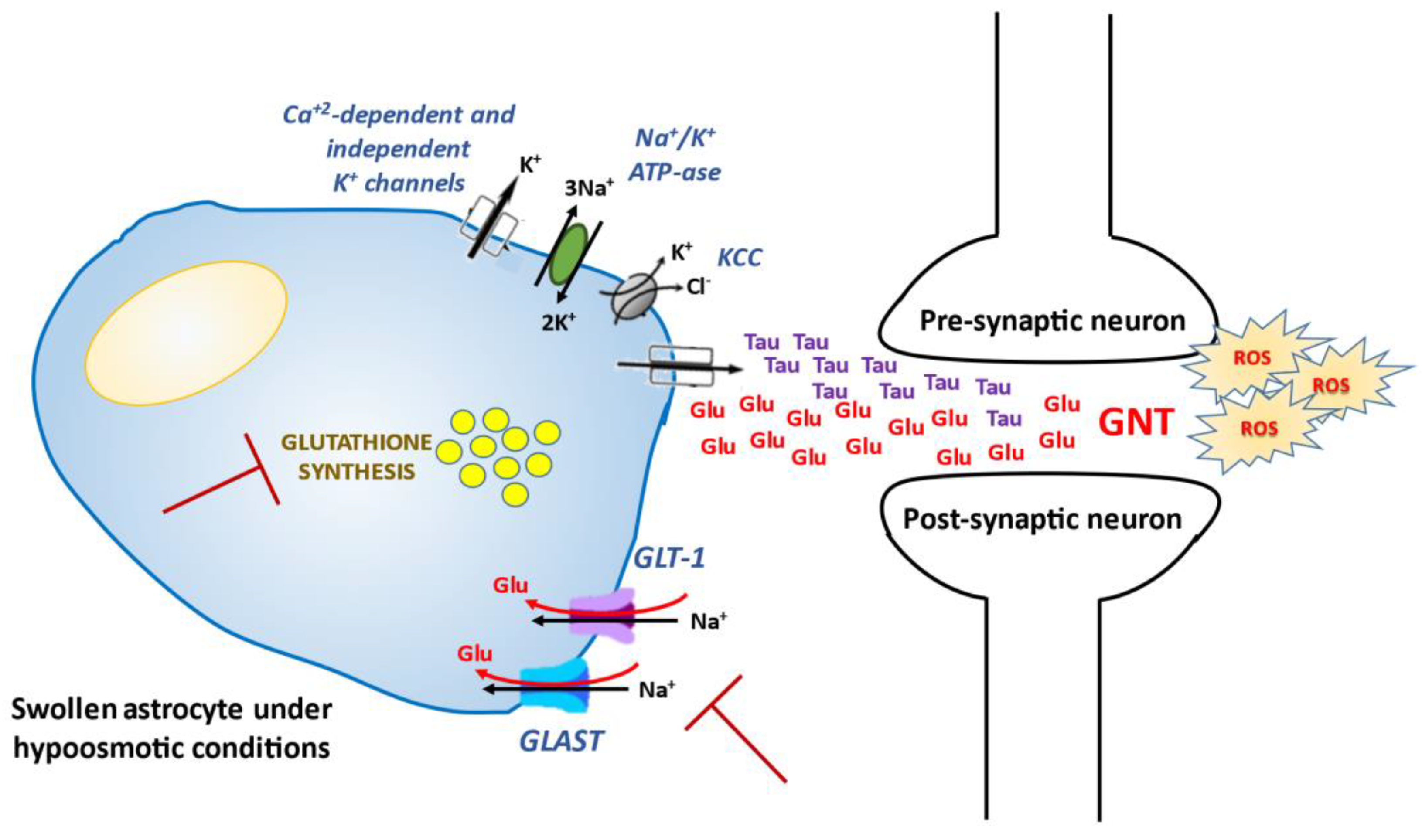 Antioxidants 10 01768 g001