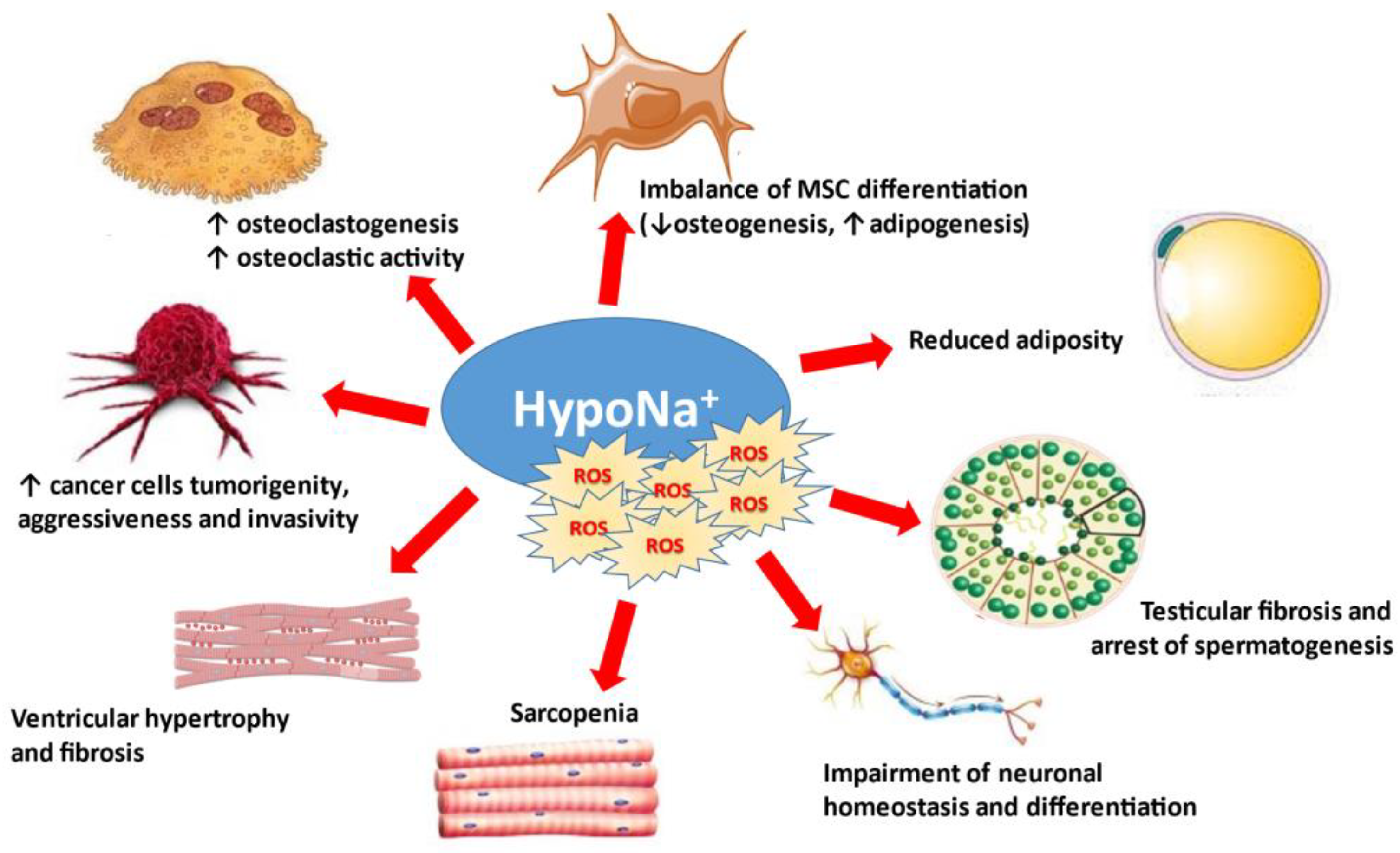 Antioxidants 10 01768 g003