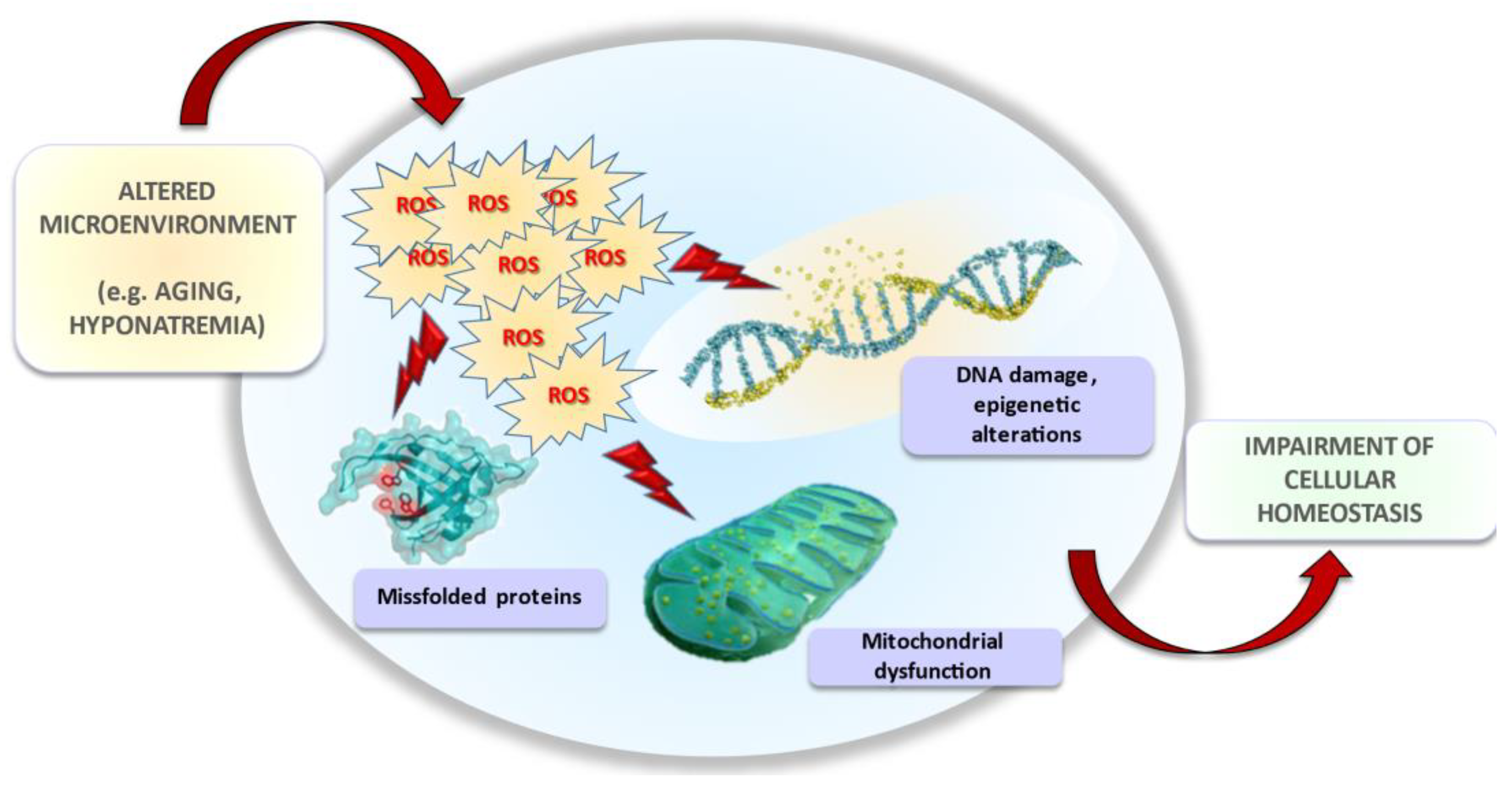 Antioxidants 10 01768 g004