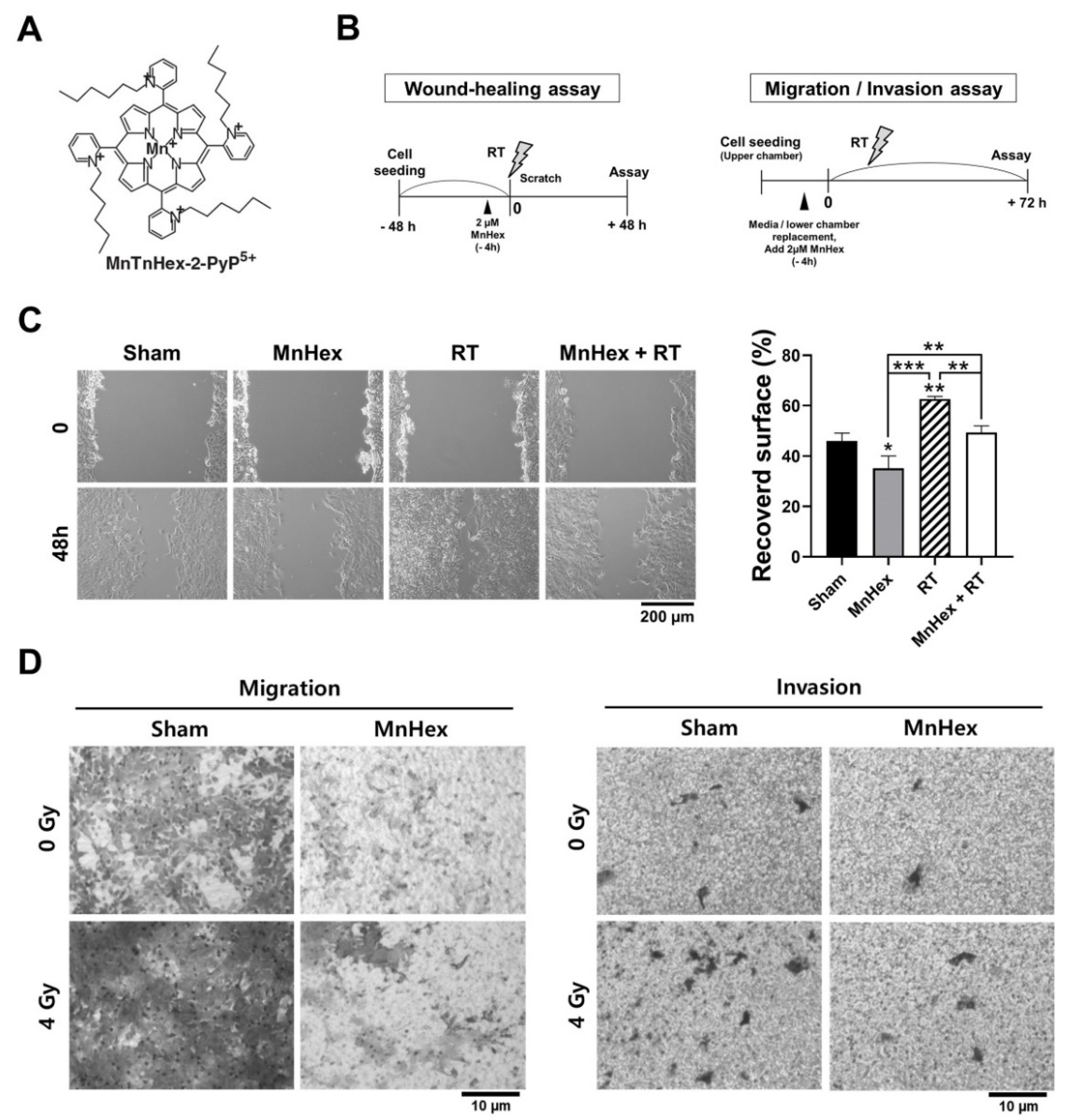 Antioxidants 10 01769 g002