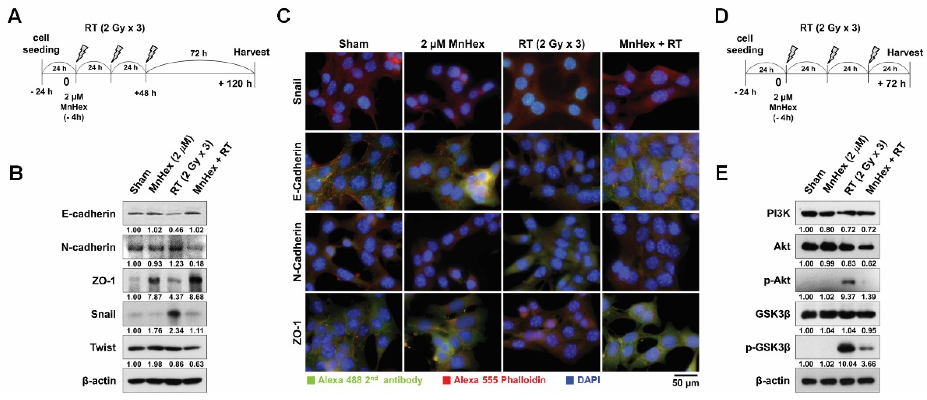 Antioxidants 10 01769 g003
