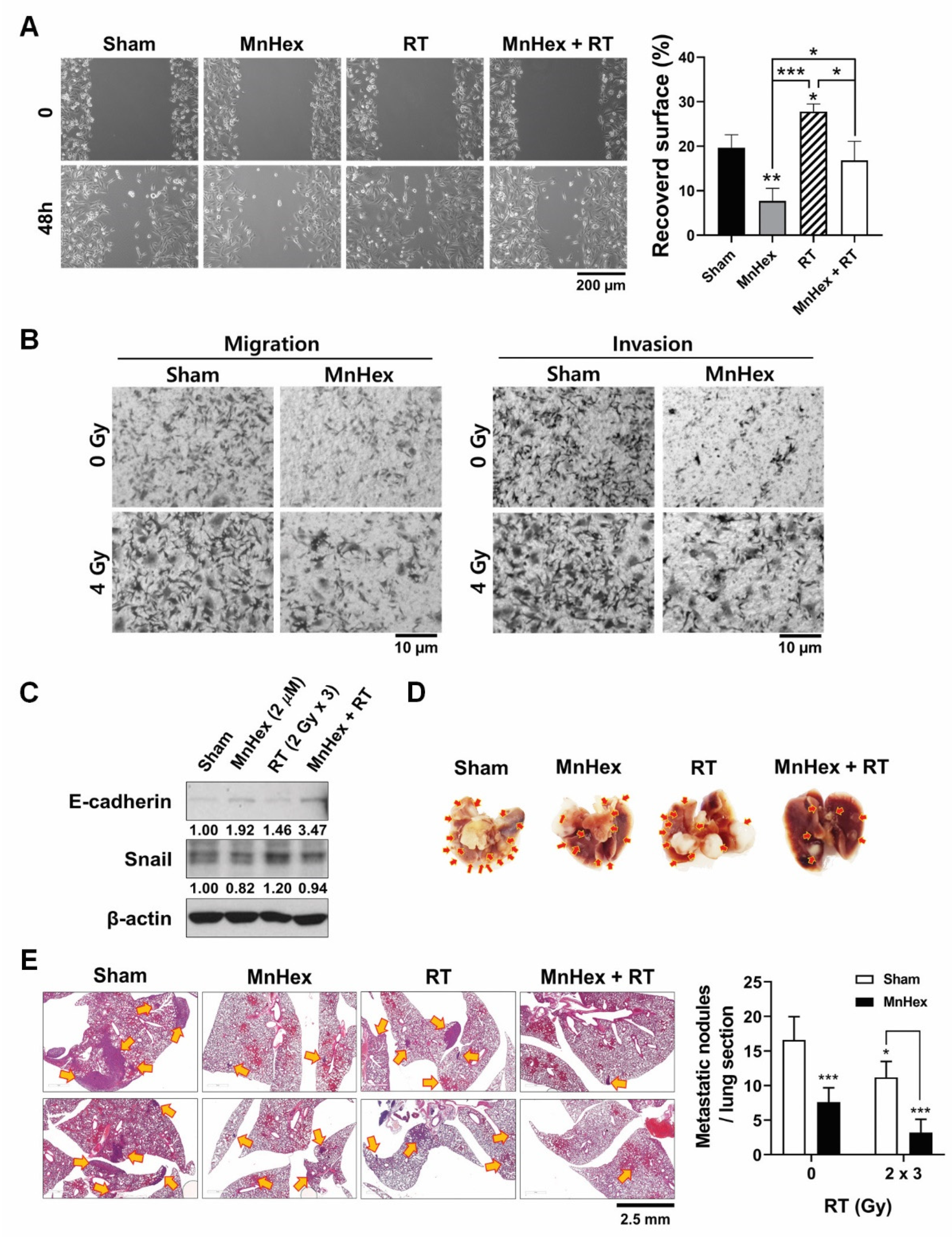Antioxidants 10 01769 g007