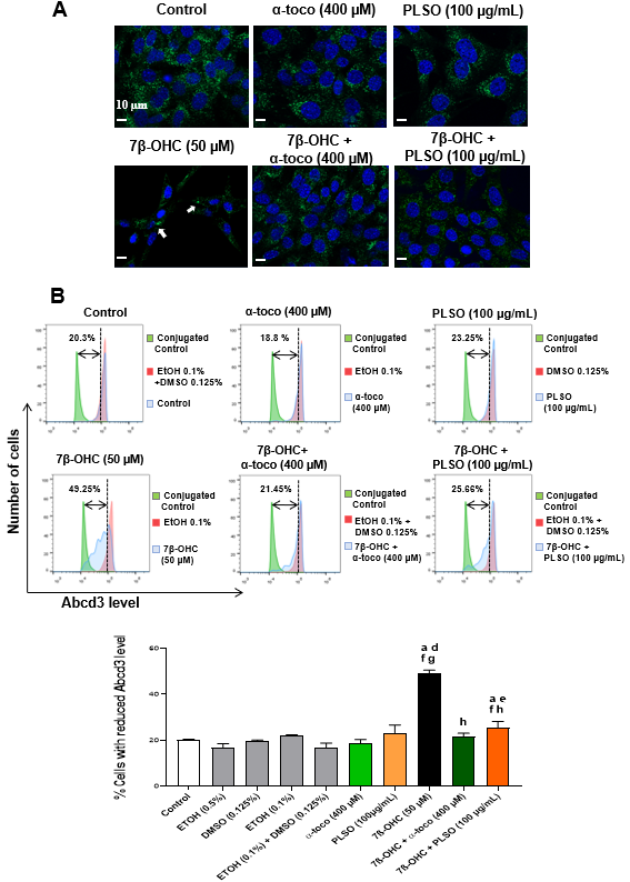 Antioxidants 10 01772 g005 Antioxidants 10 01772 g005