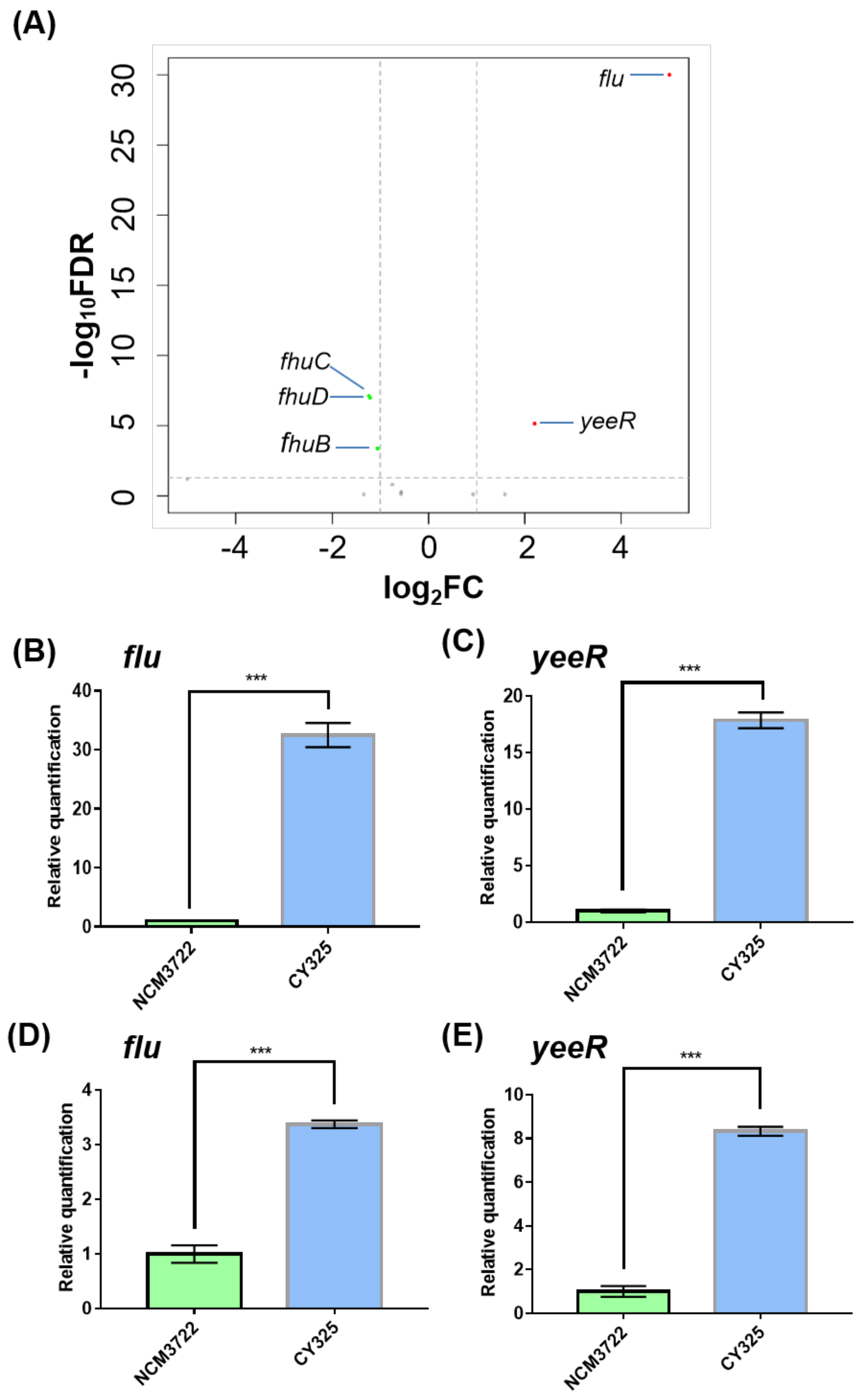 Antioxidants 10 01774 g001