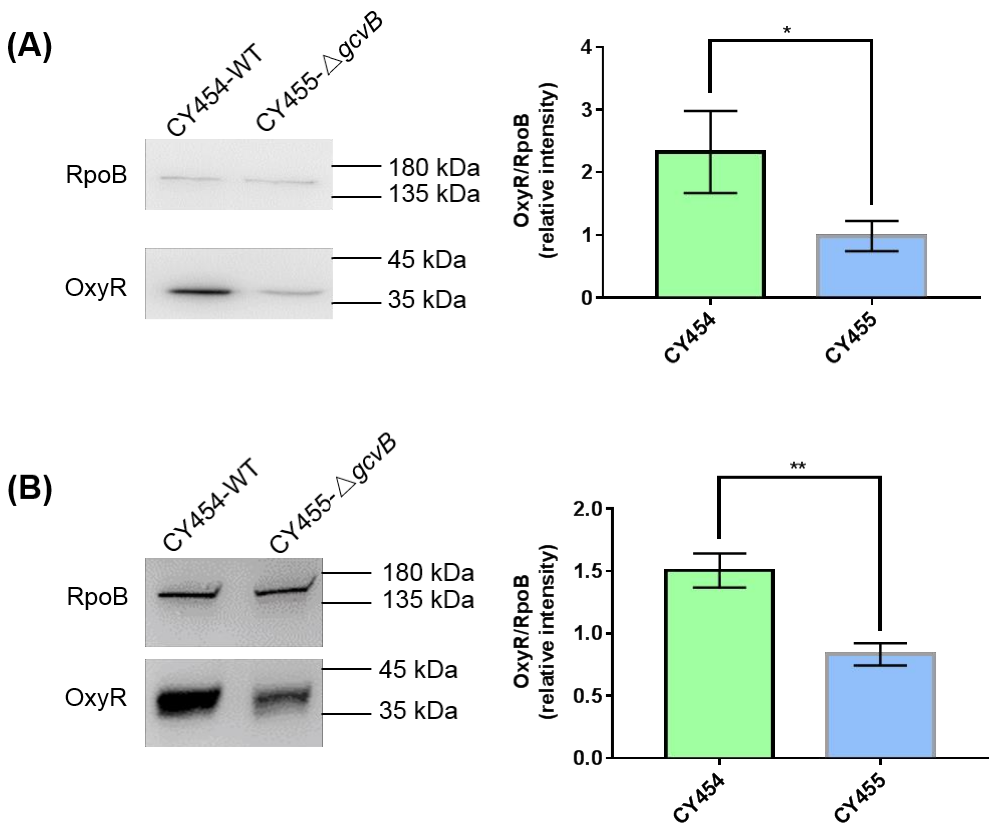 Antioxidants 10 01774 g003