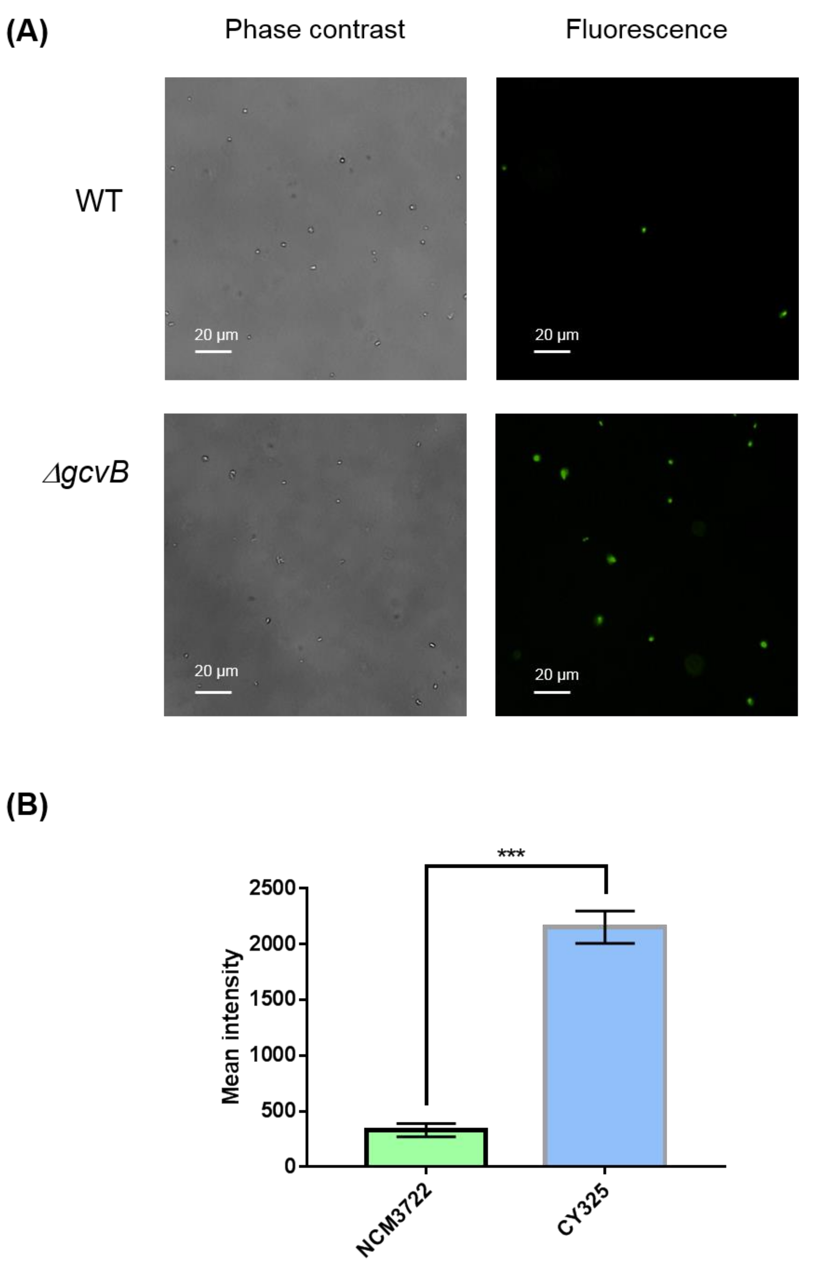 Antioxidants 10 01774 g007