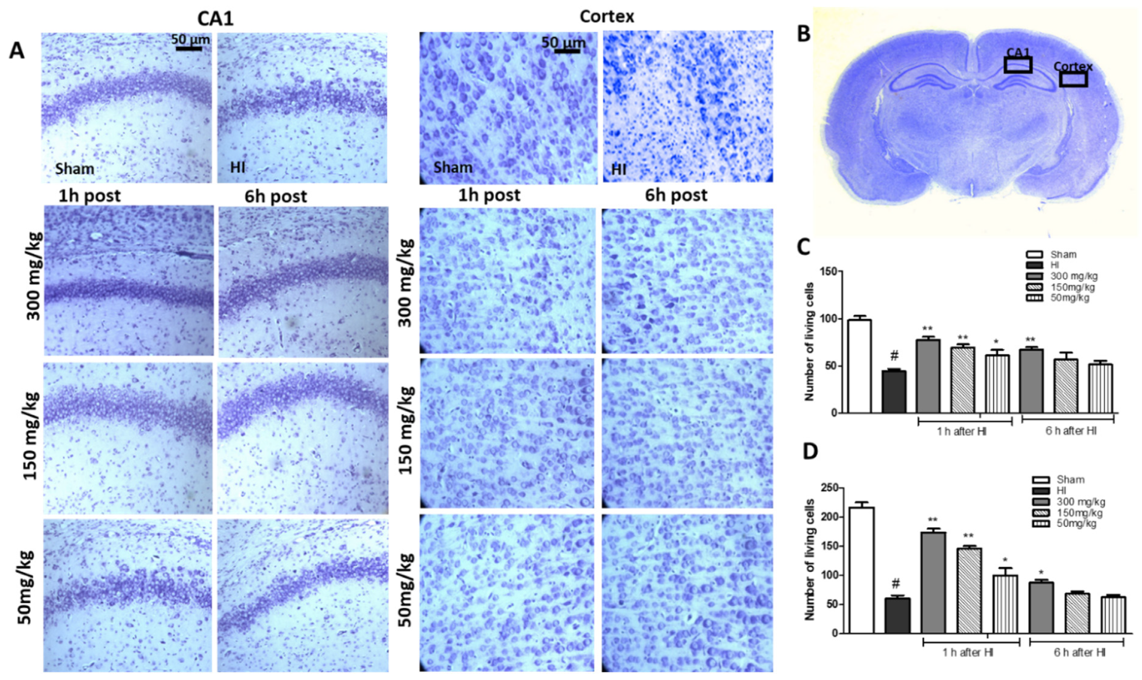 Antioxidants 10 01775 g002
