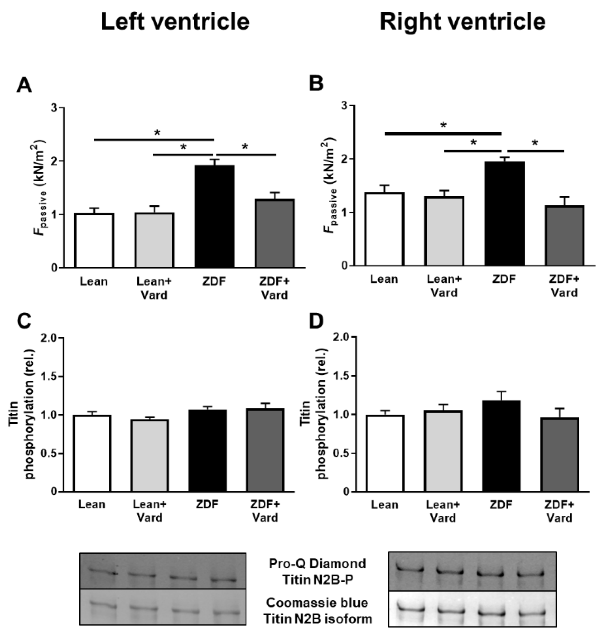 Antioxidants 10 01776 g002