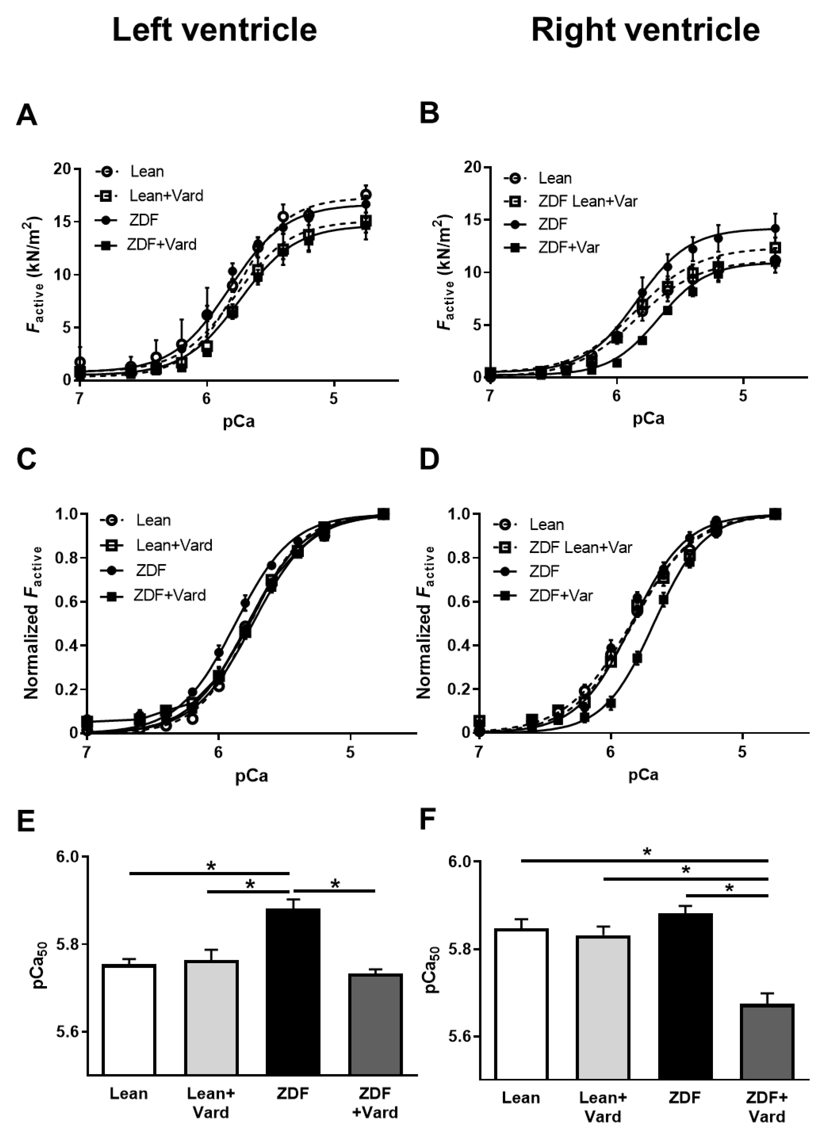 Antioxidants 10 01776 g003