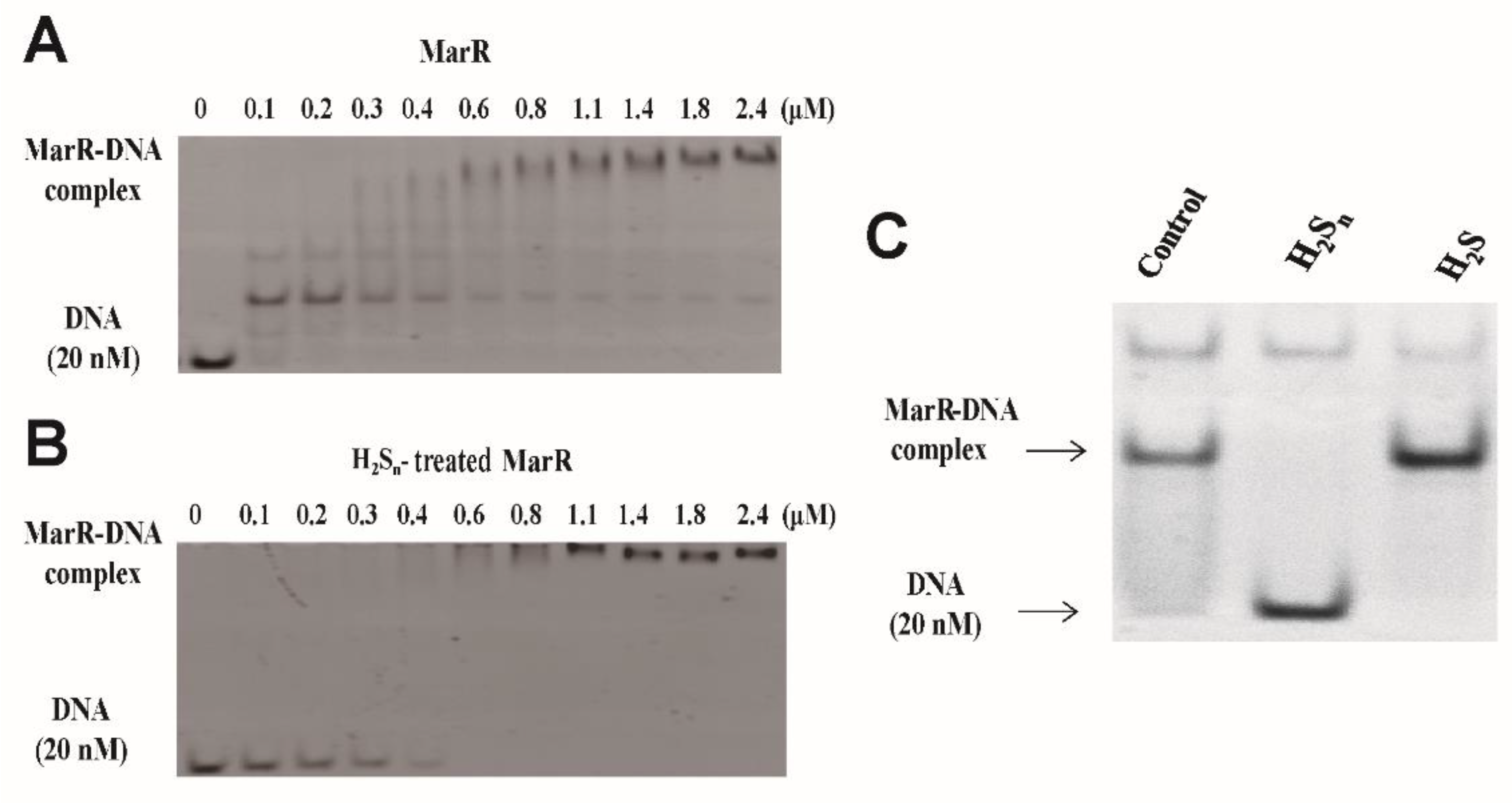 Antioxidants 10 01778 g001