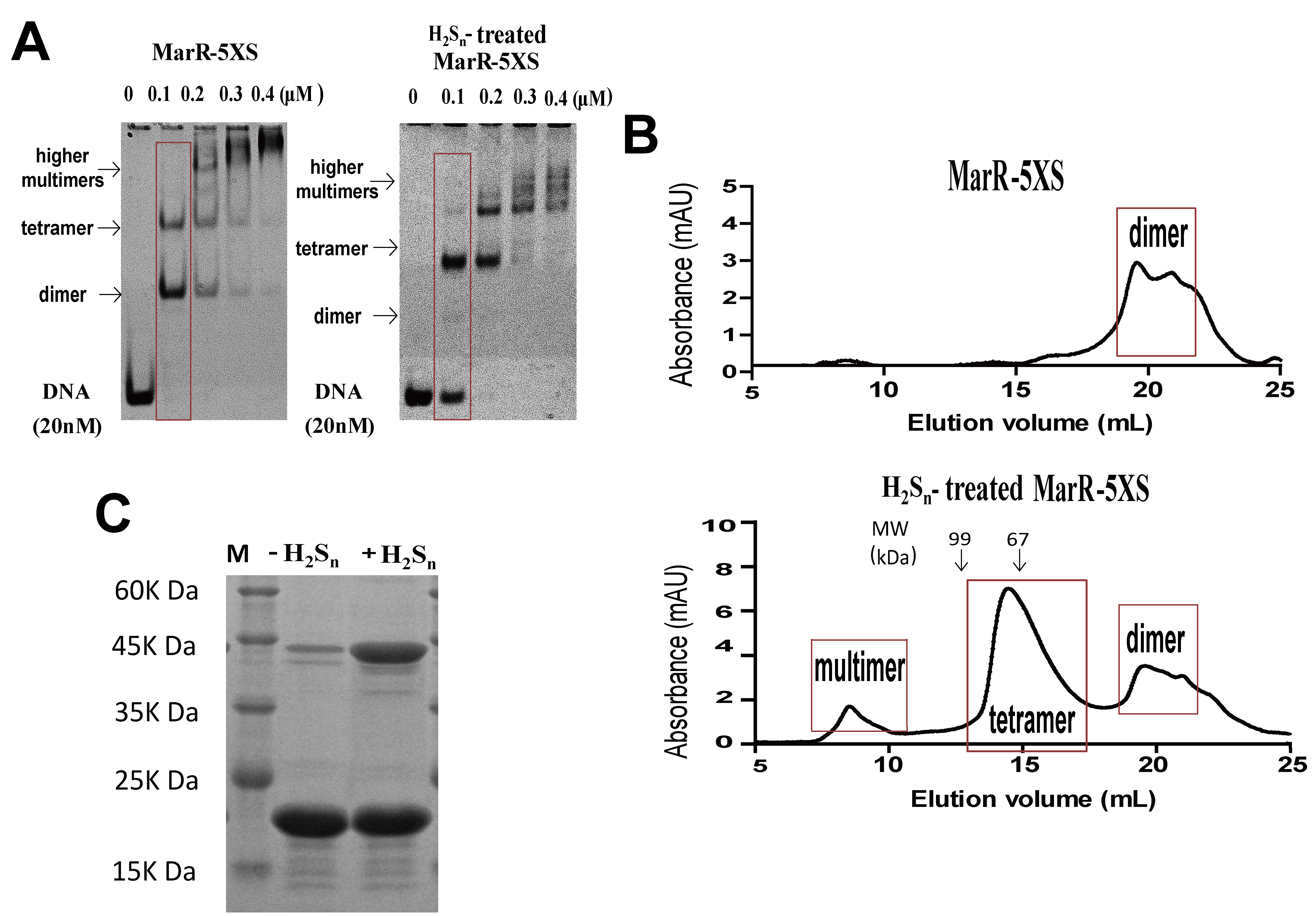 Antioxidants 10 01778 g002