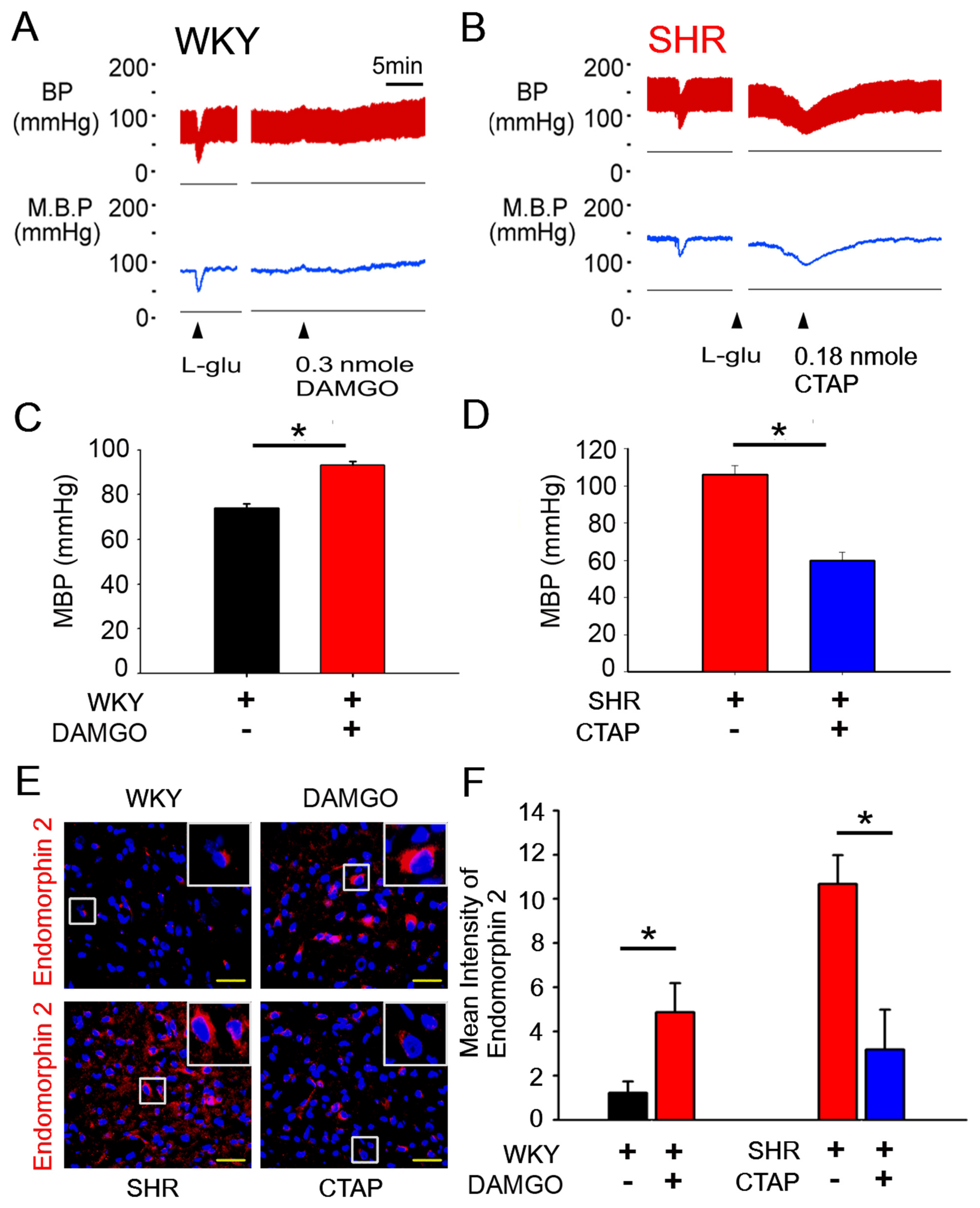 Antioxidants 10 01784 g003