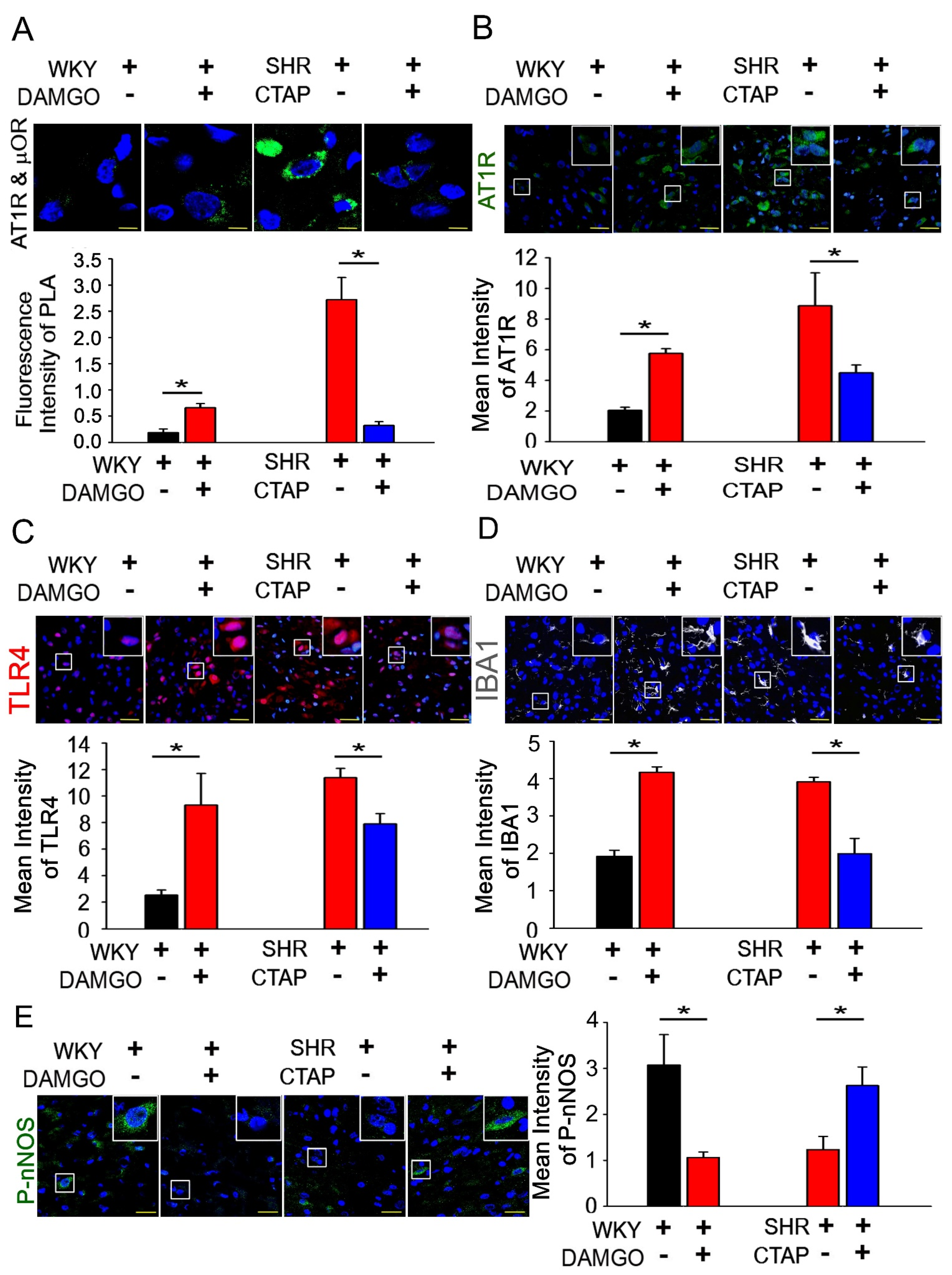 Antioxidants 10 01784 g004