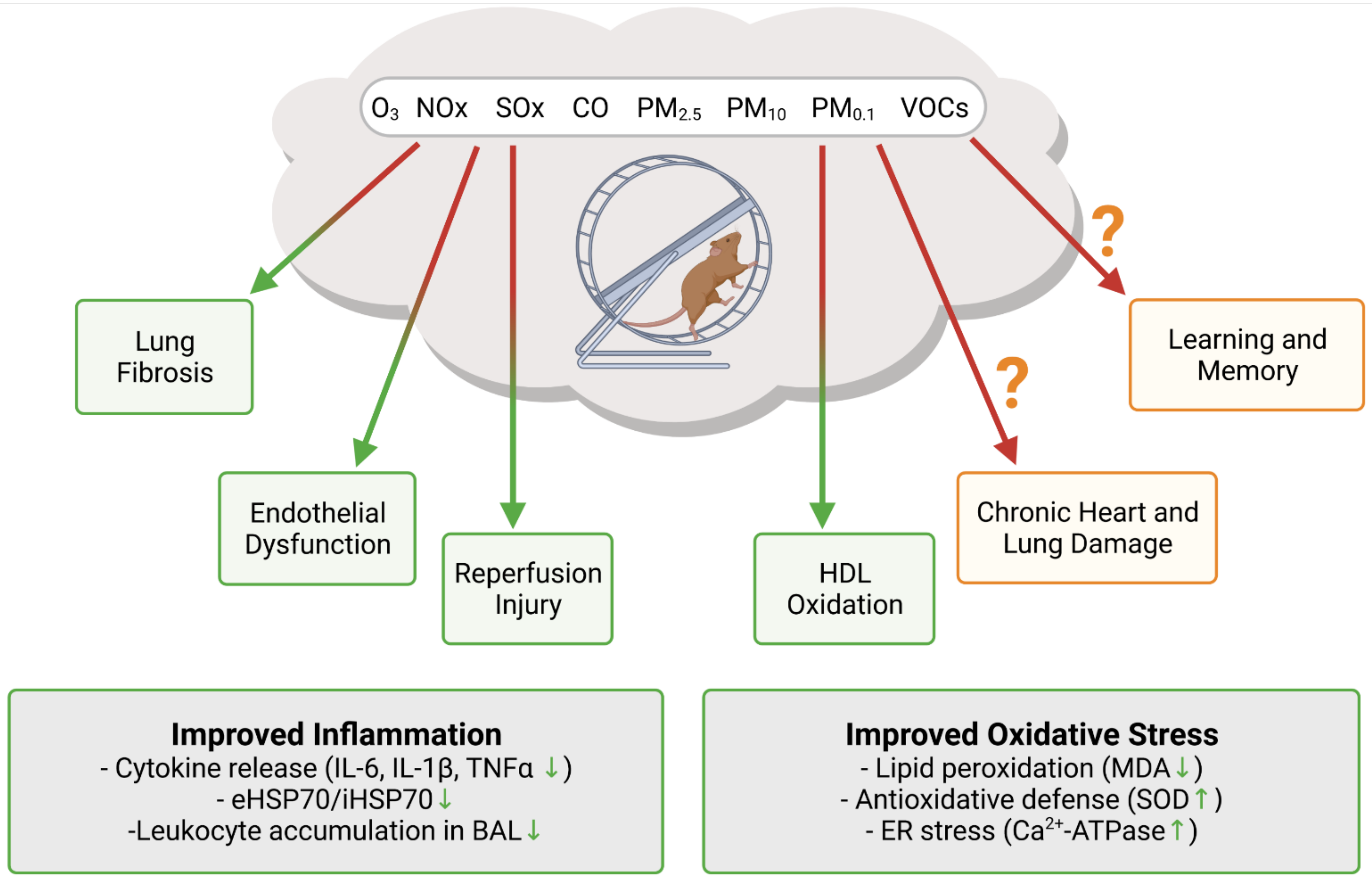 Antioxidants 10 01787 g002