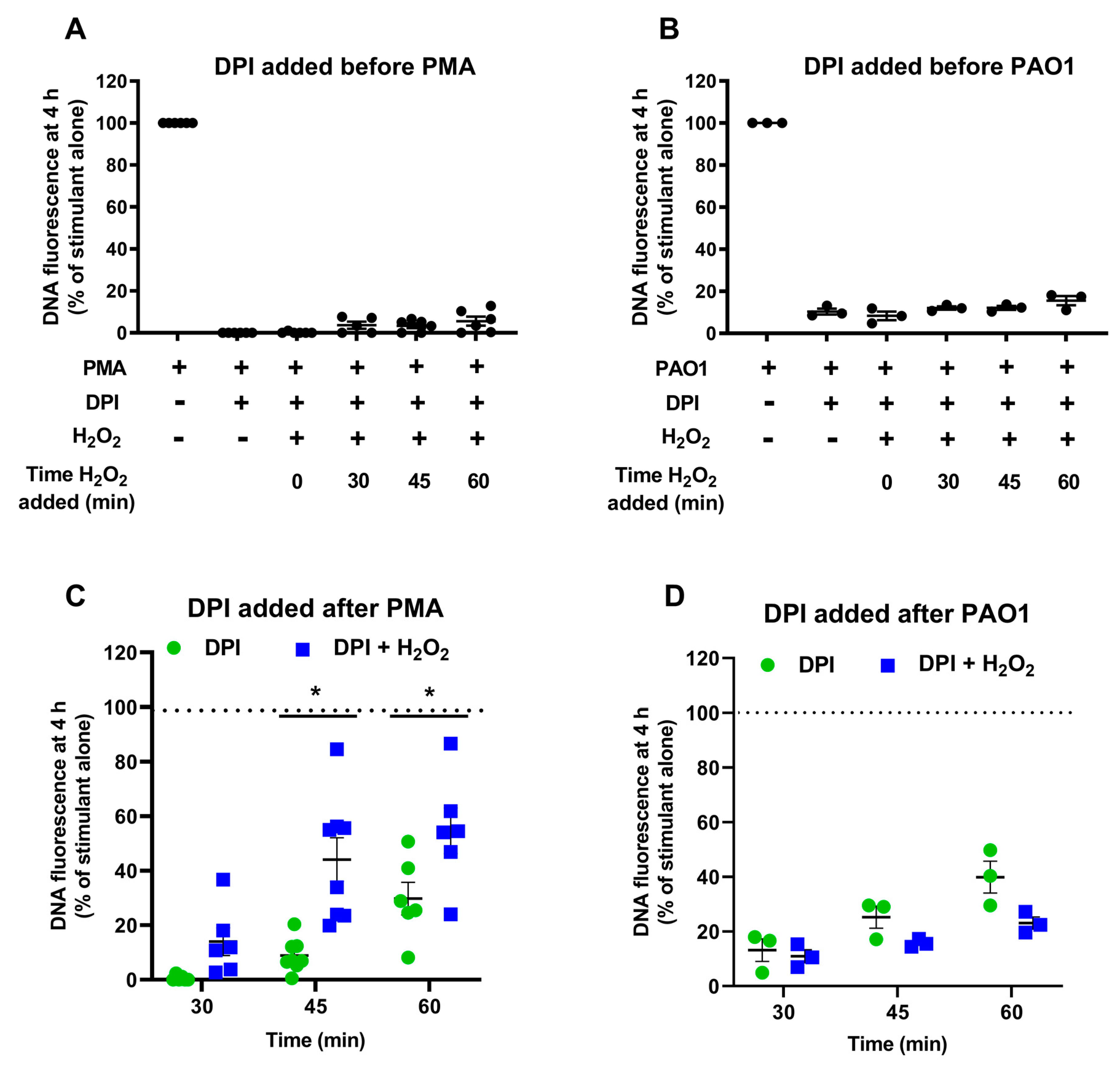 Antioxidants 10 01791 g009