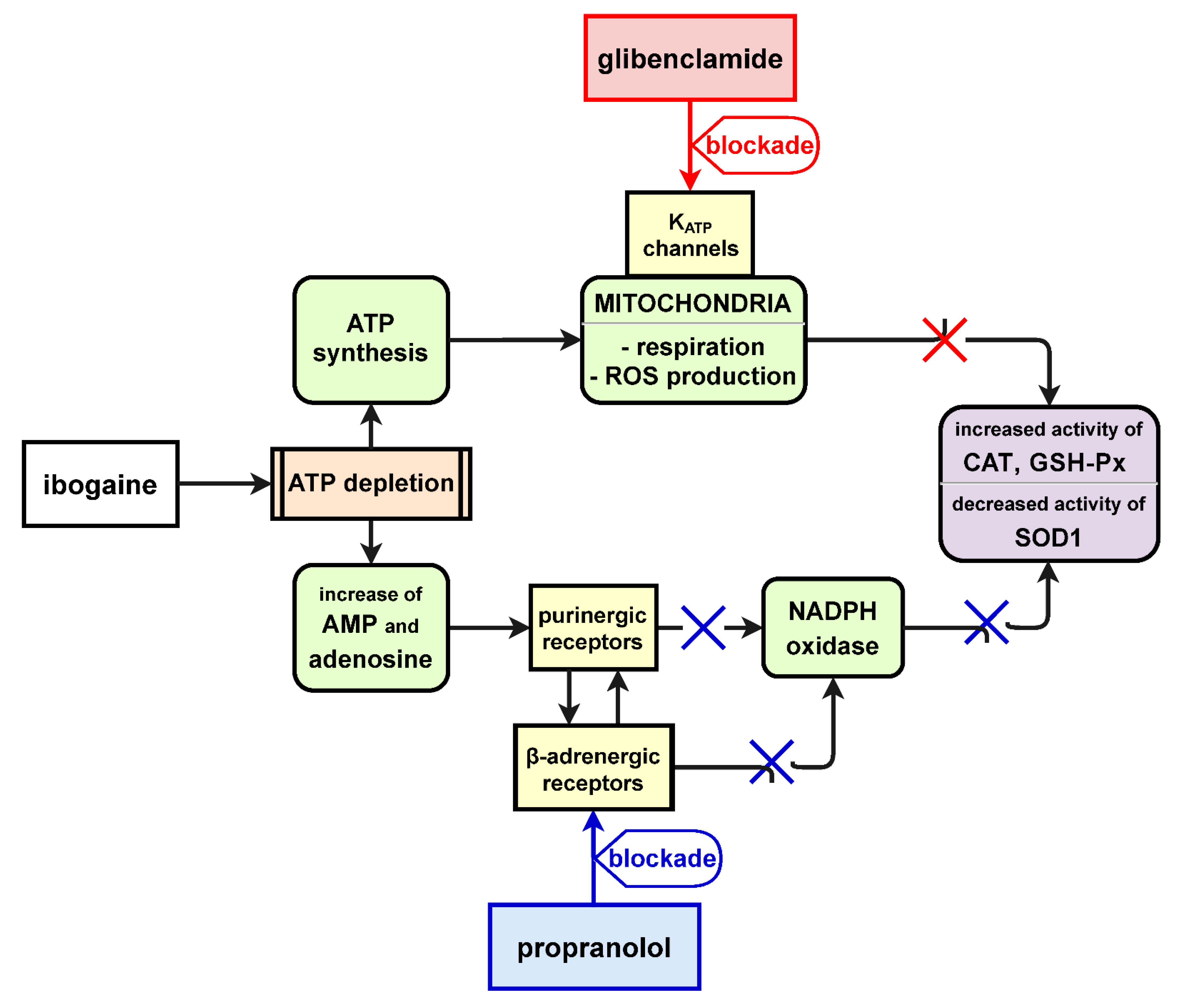 Antioxidants 10 01792 g006