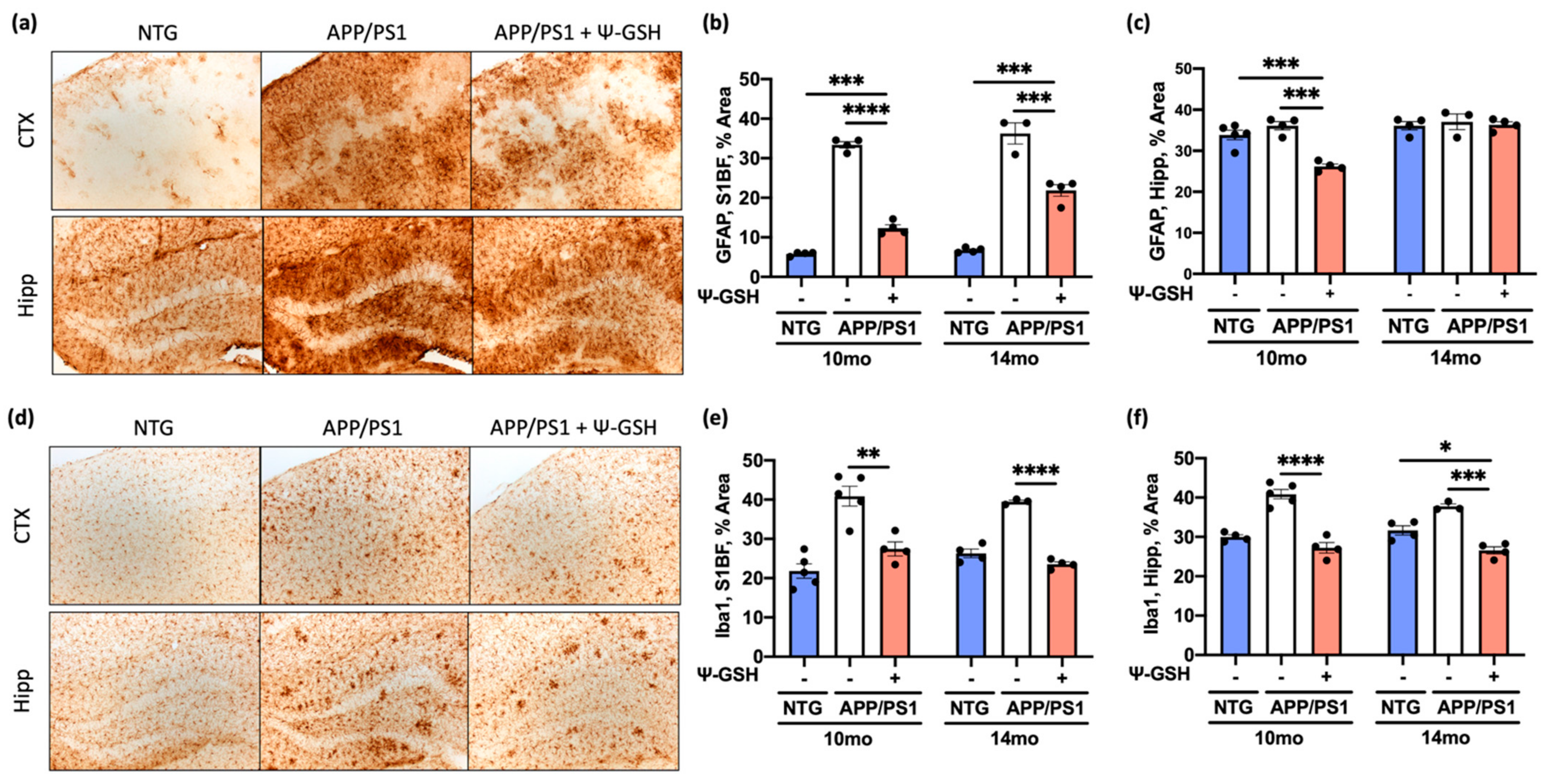 Antioxidants 10 01796 g004