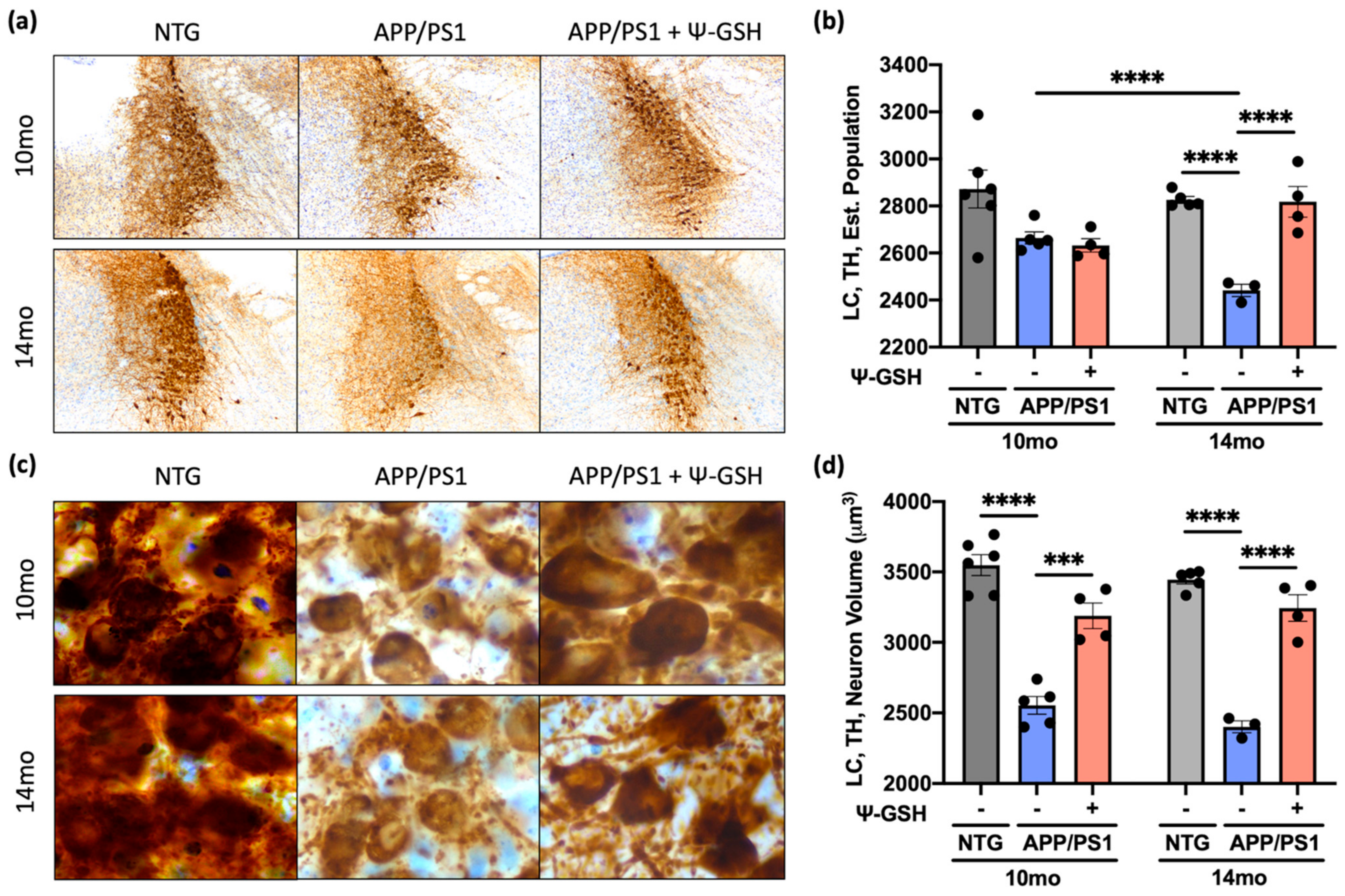 Antioxidants 10 01796 g007