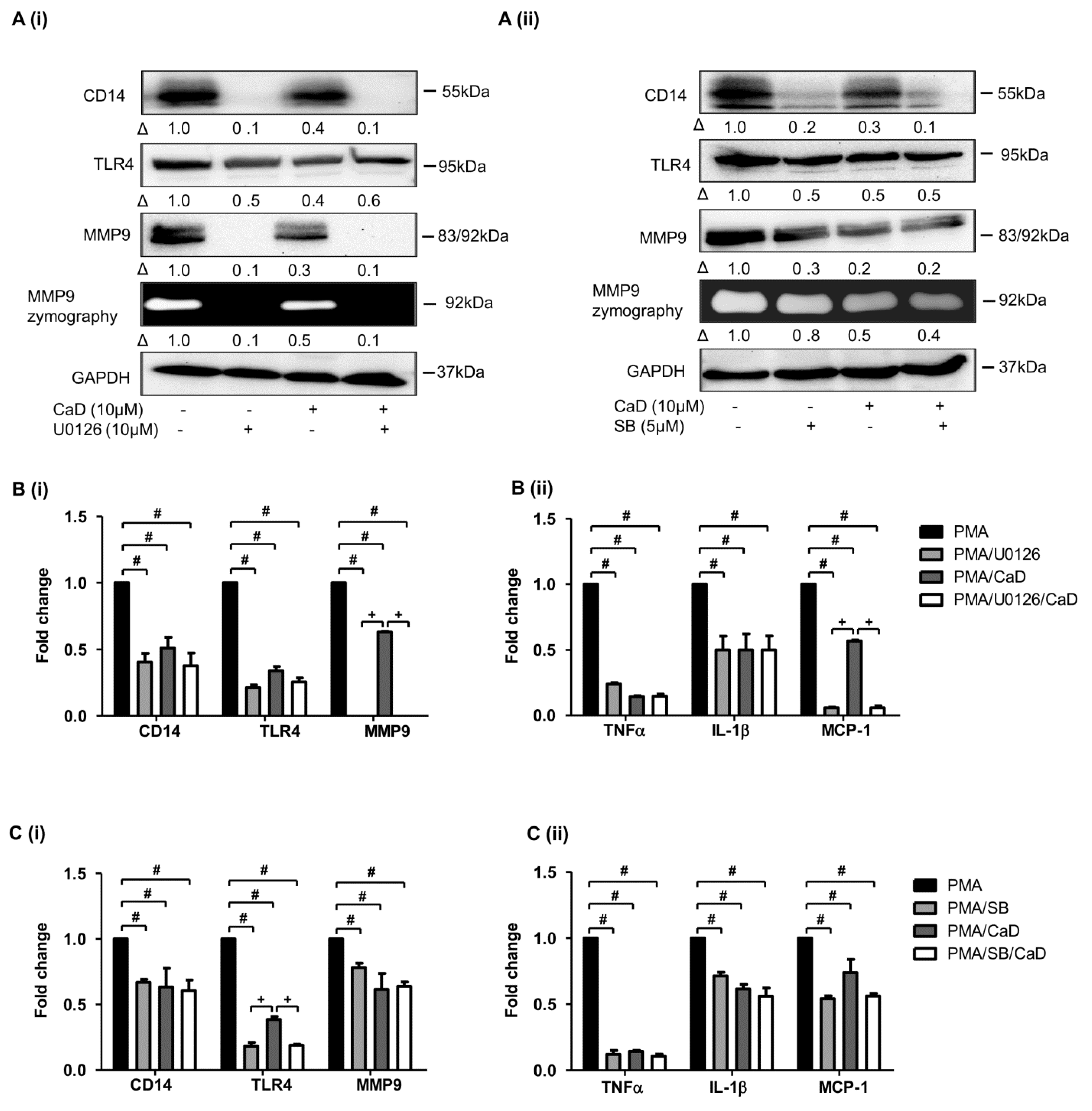 Antioxidants 10 01798 g007
