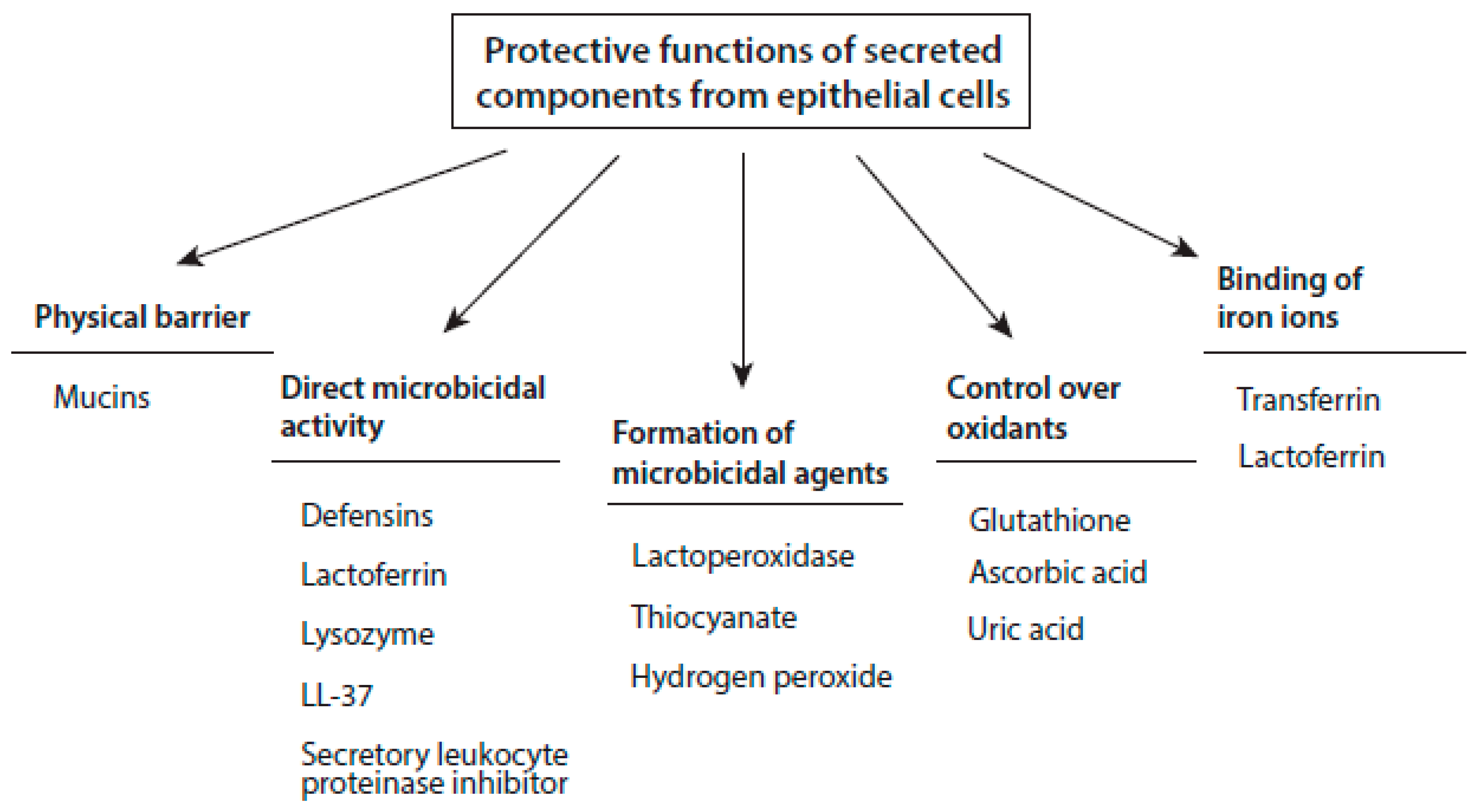 Antioxidants 10 01805 g001 Antioxidants 10 01805 g001