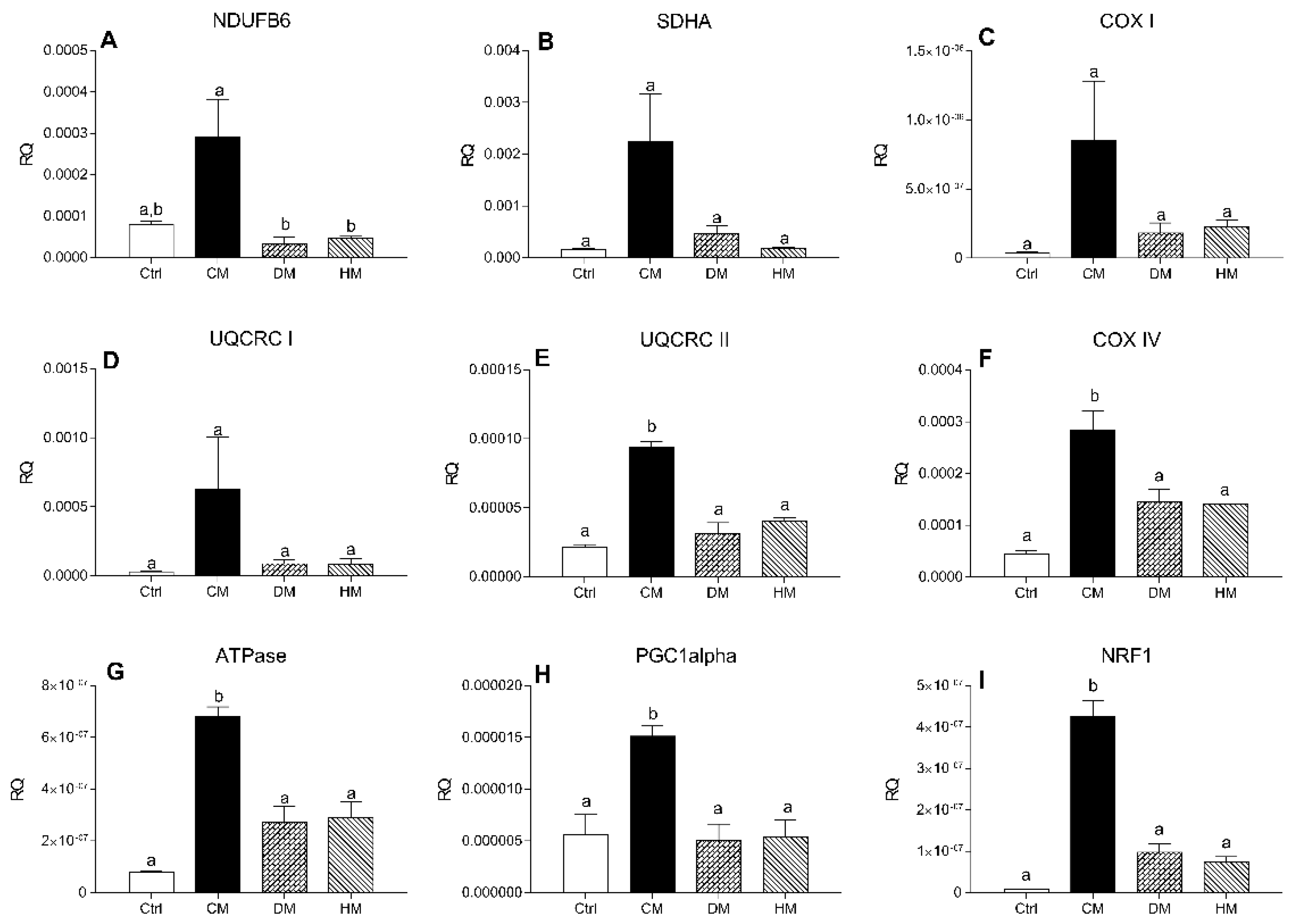 Antioxidants 10 01807 g005