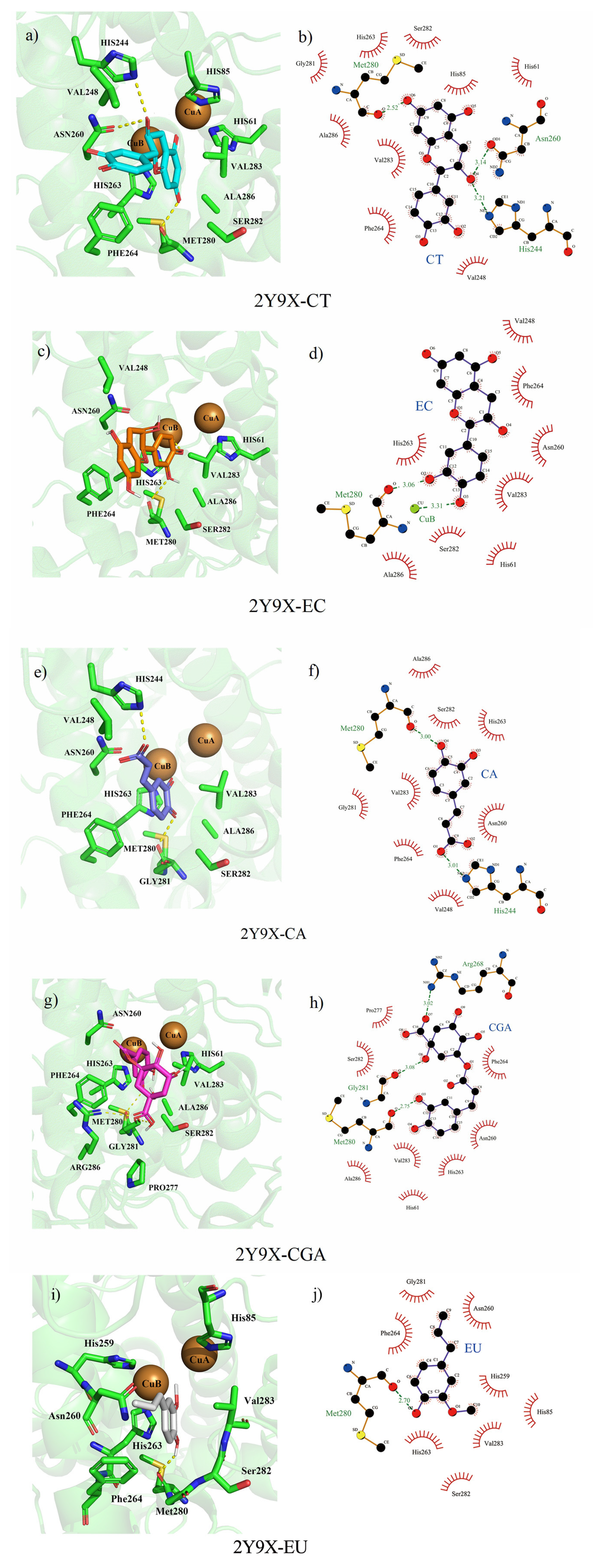 Antioxidants 10 01809 g014