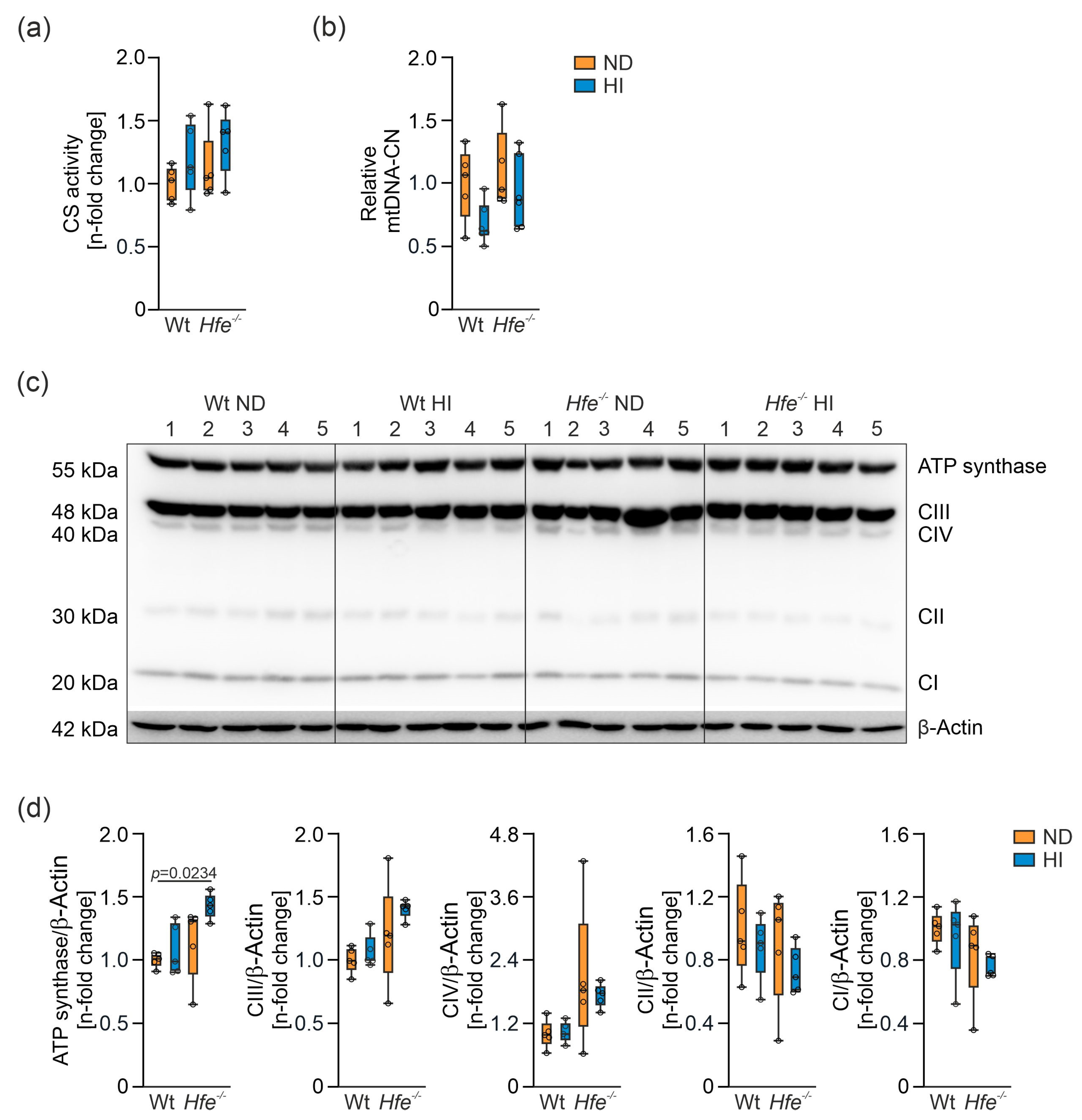 Antioxidants 10 01818 g007