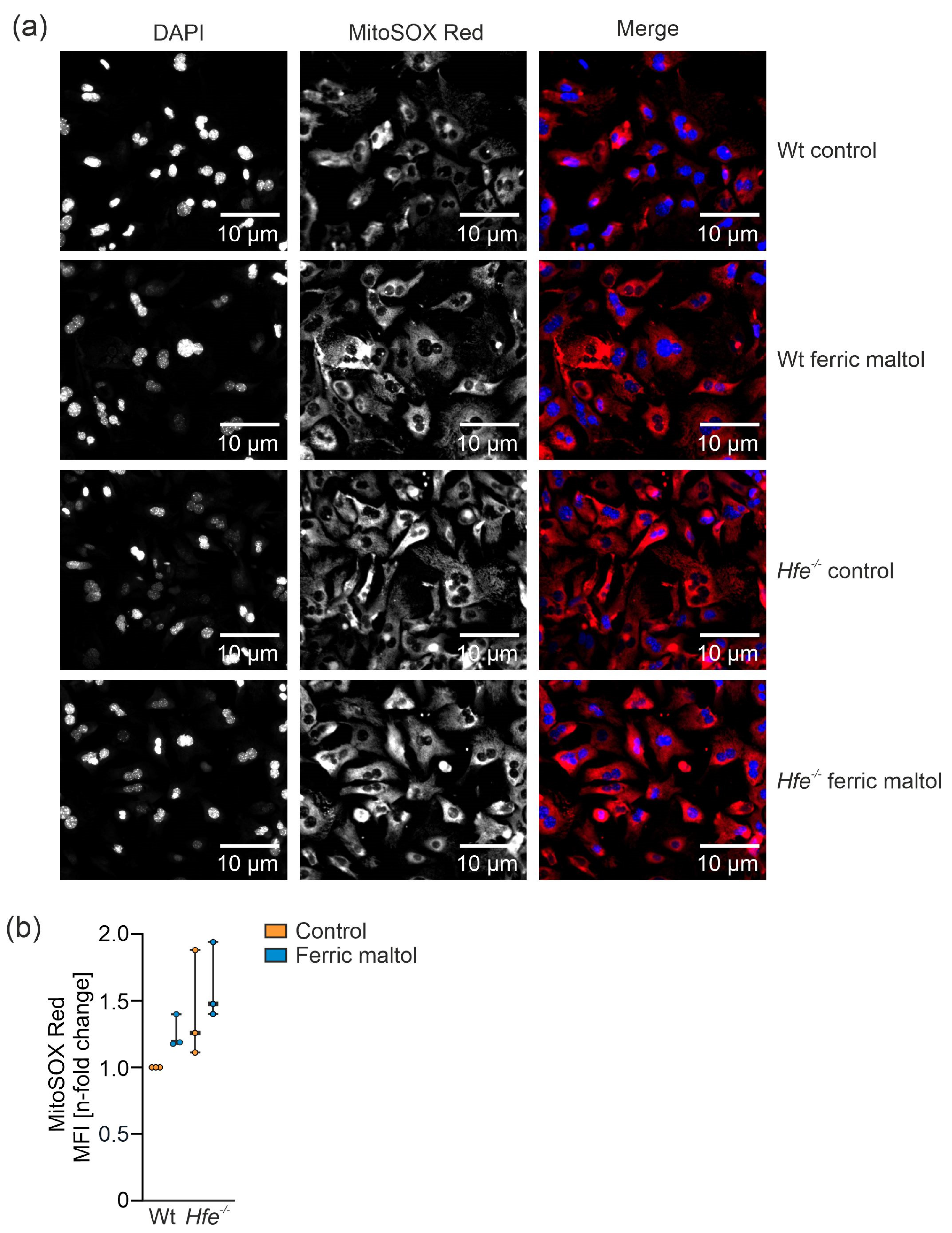 Antioxidants 10 01818 g008