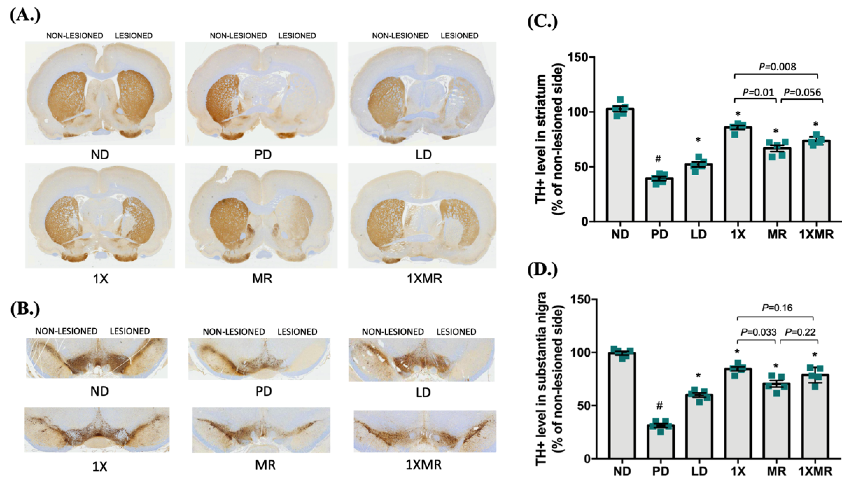 Antioxidants 10 01823 g002