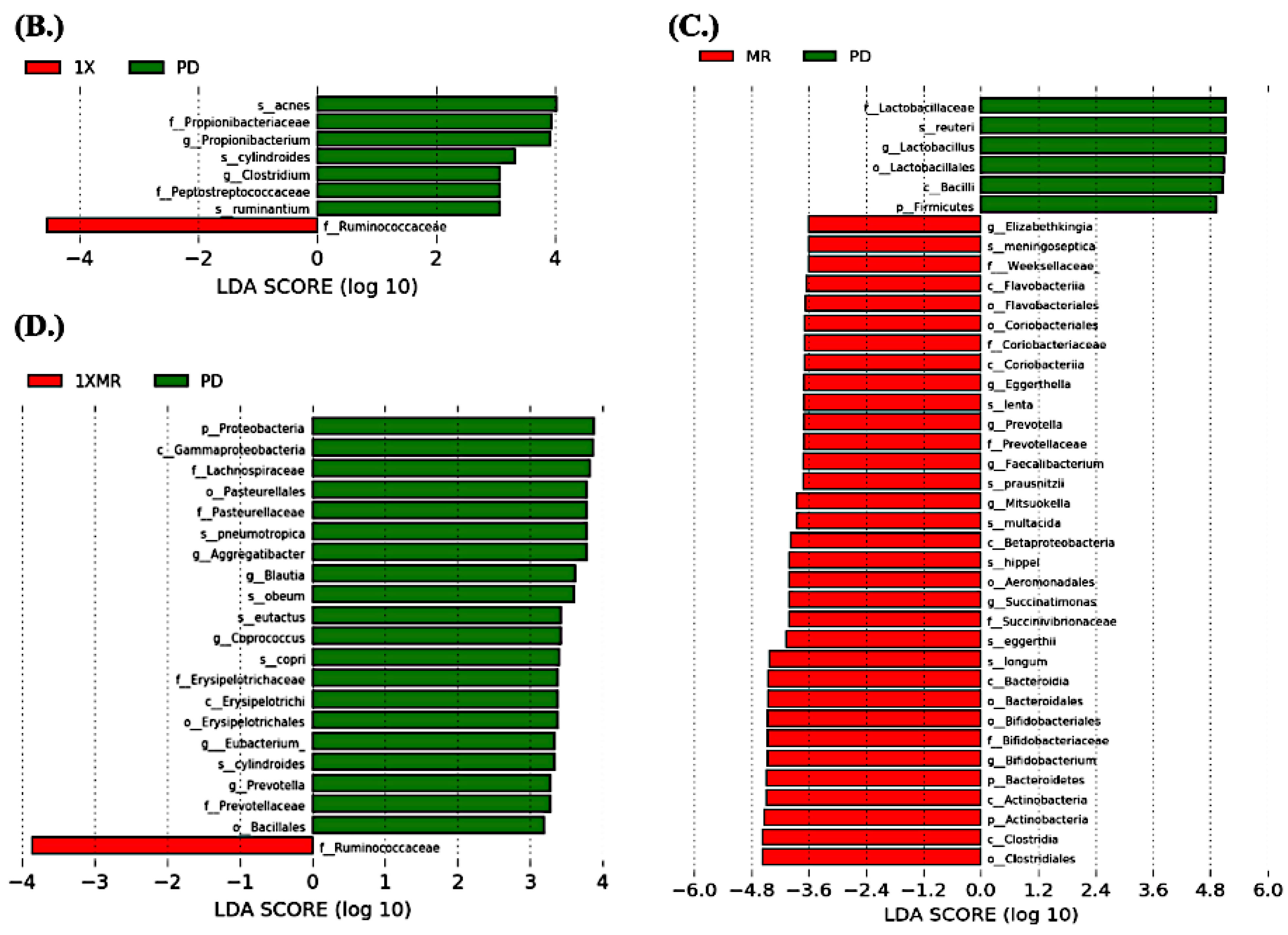 Antioxidants 10 01823 g005b
