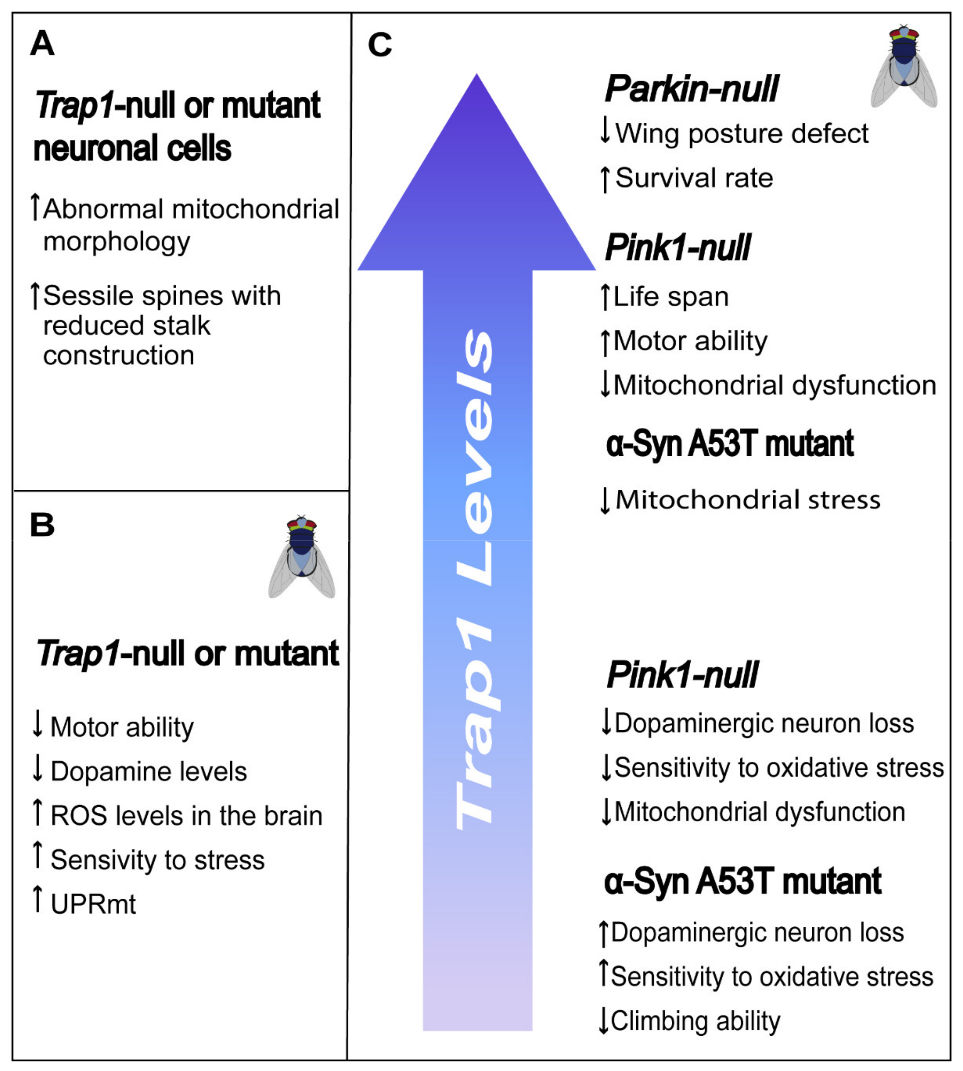 Antioxidants 10 01829 g005