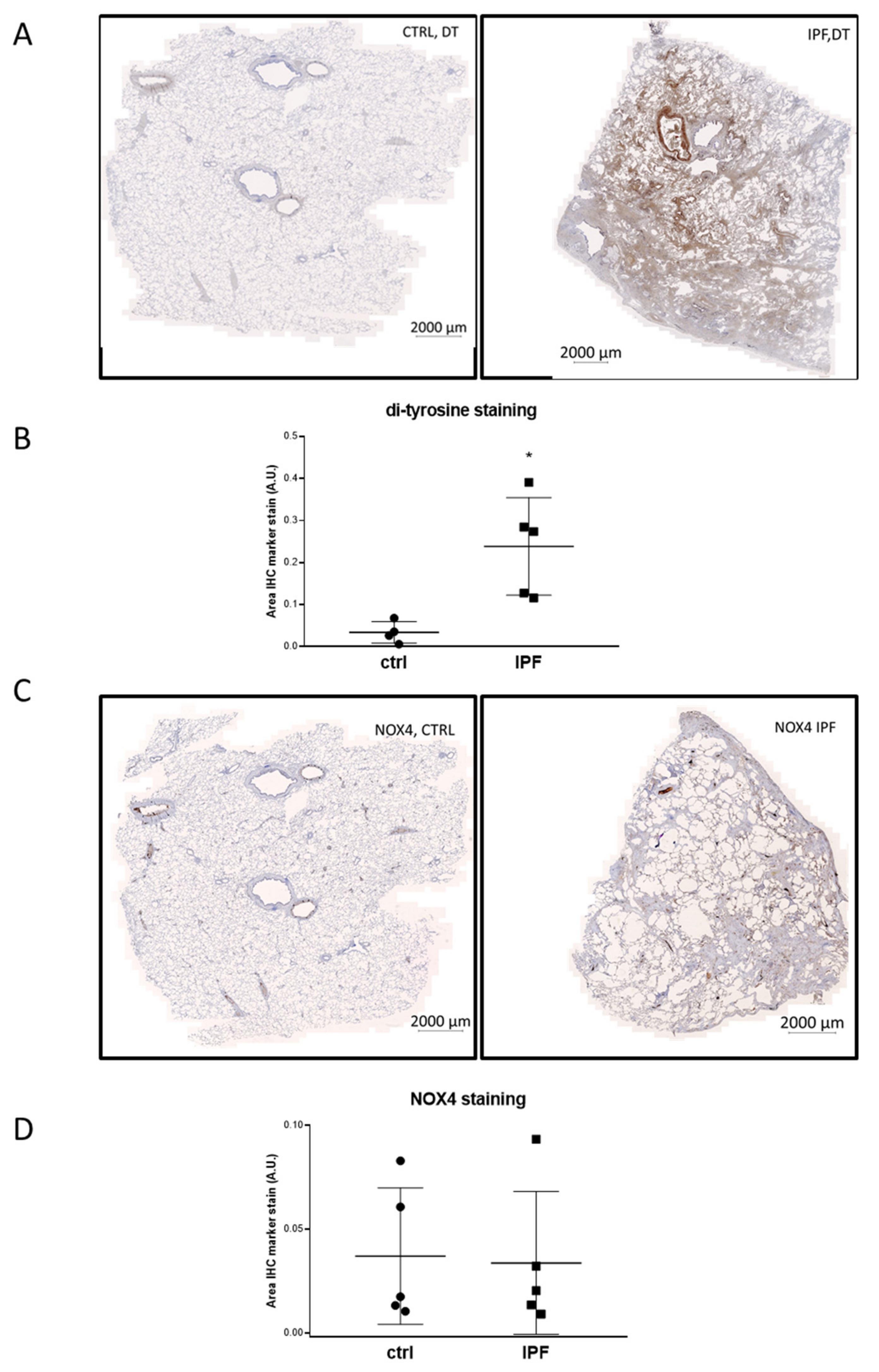 Antioxidants 10 01833 g002