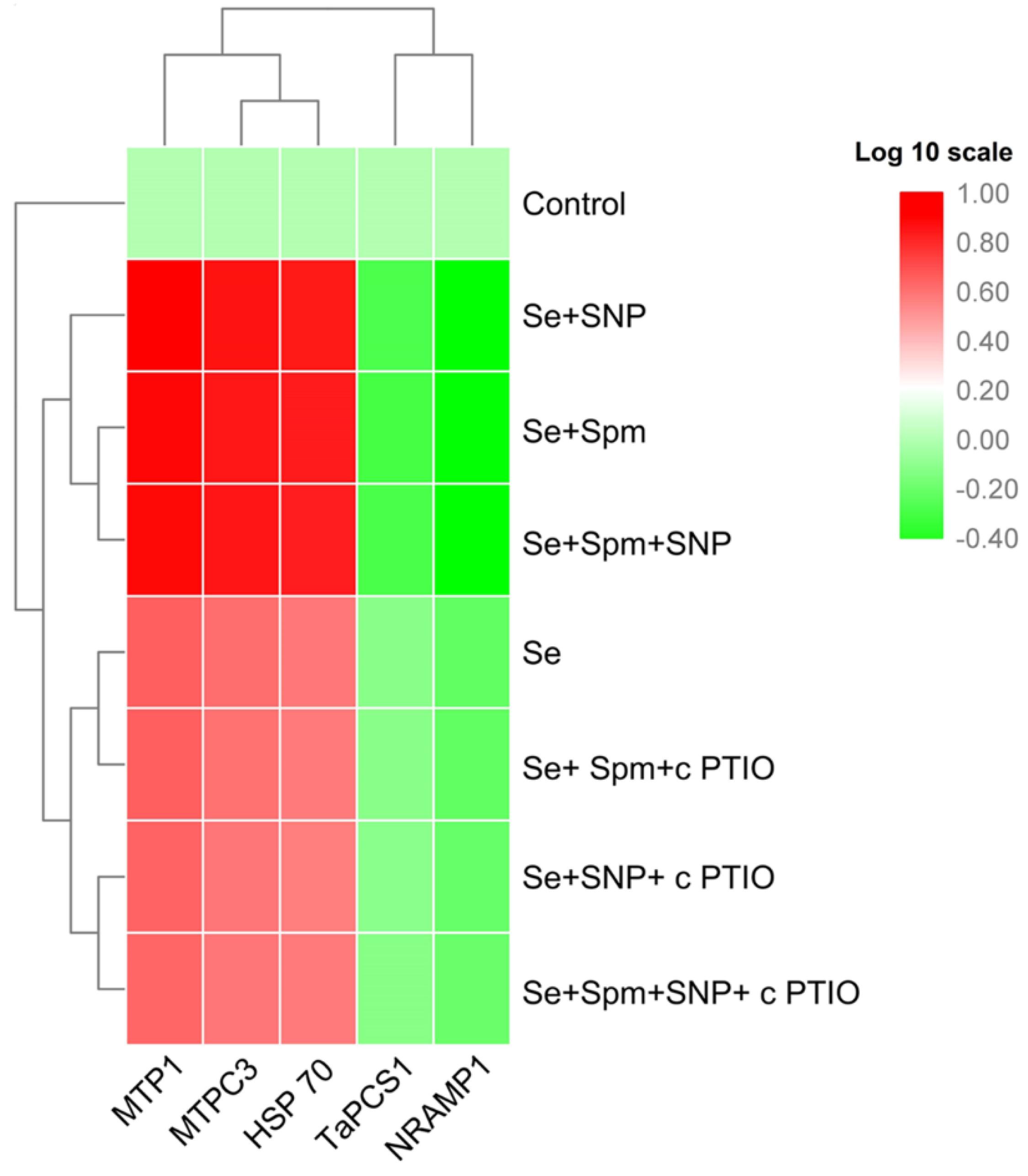 Antioxidants 10 01835 g008