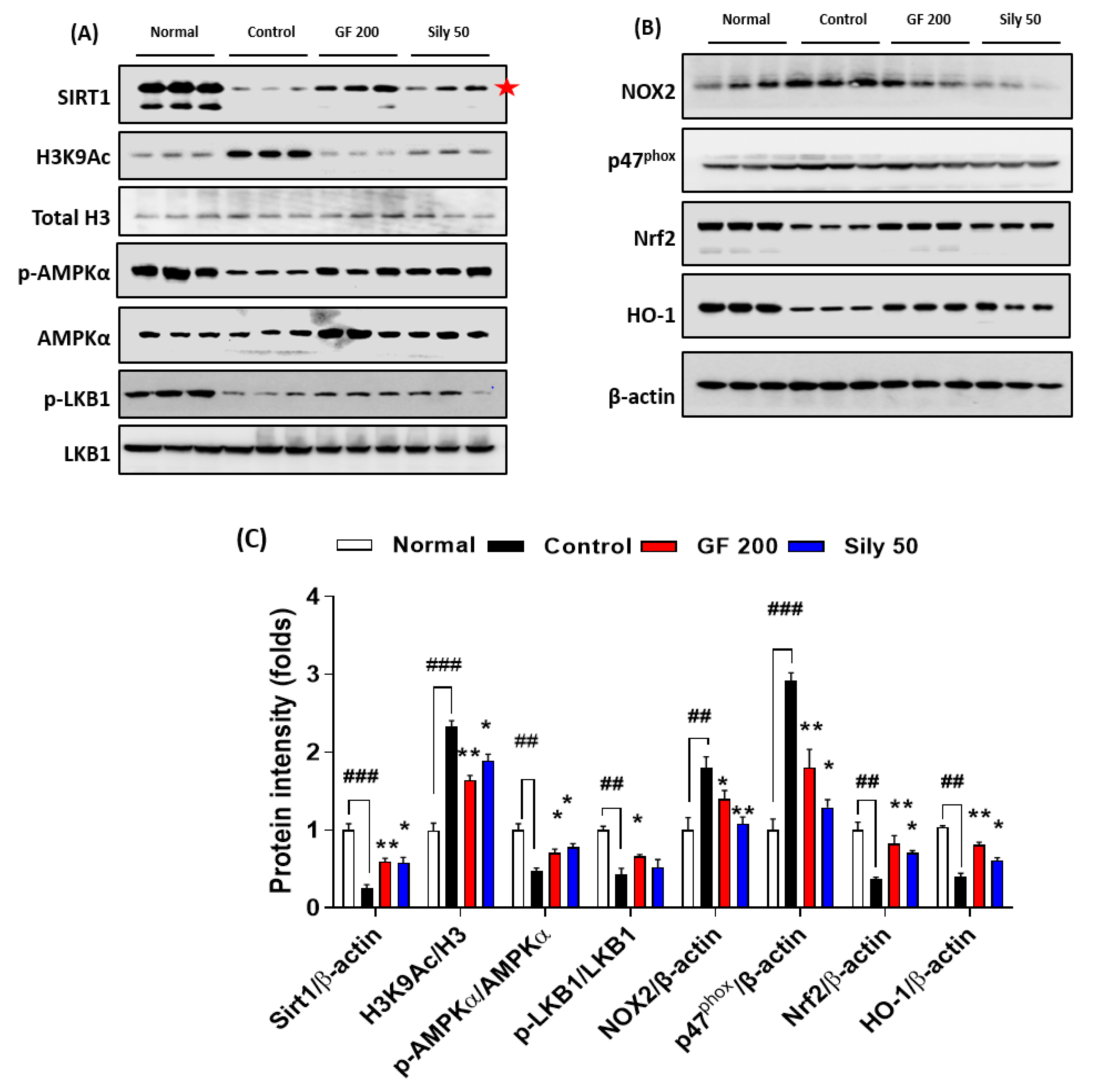Antioxidants 10 01837 g005