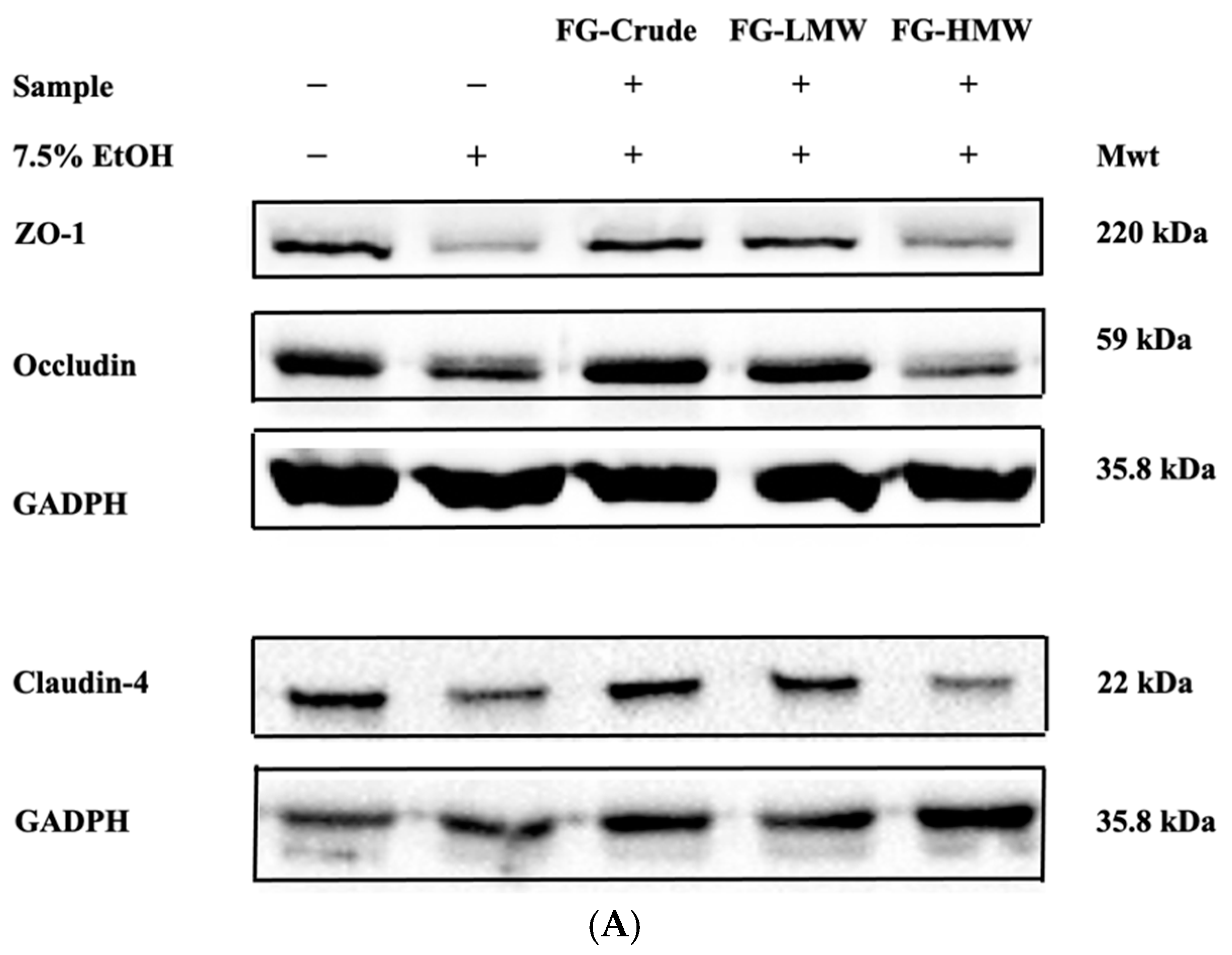 Antioxidants 10 01840 g005a