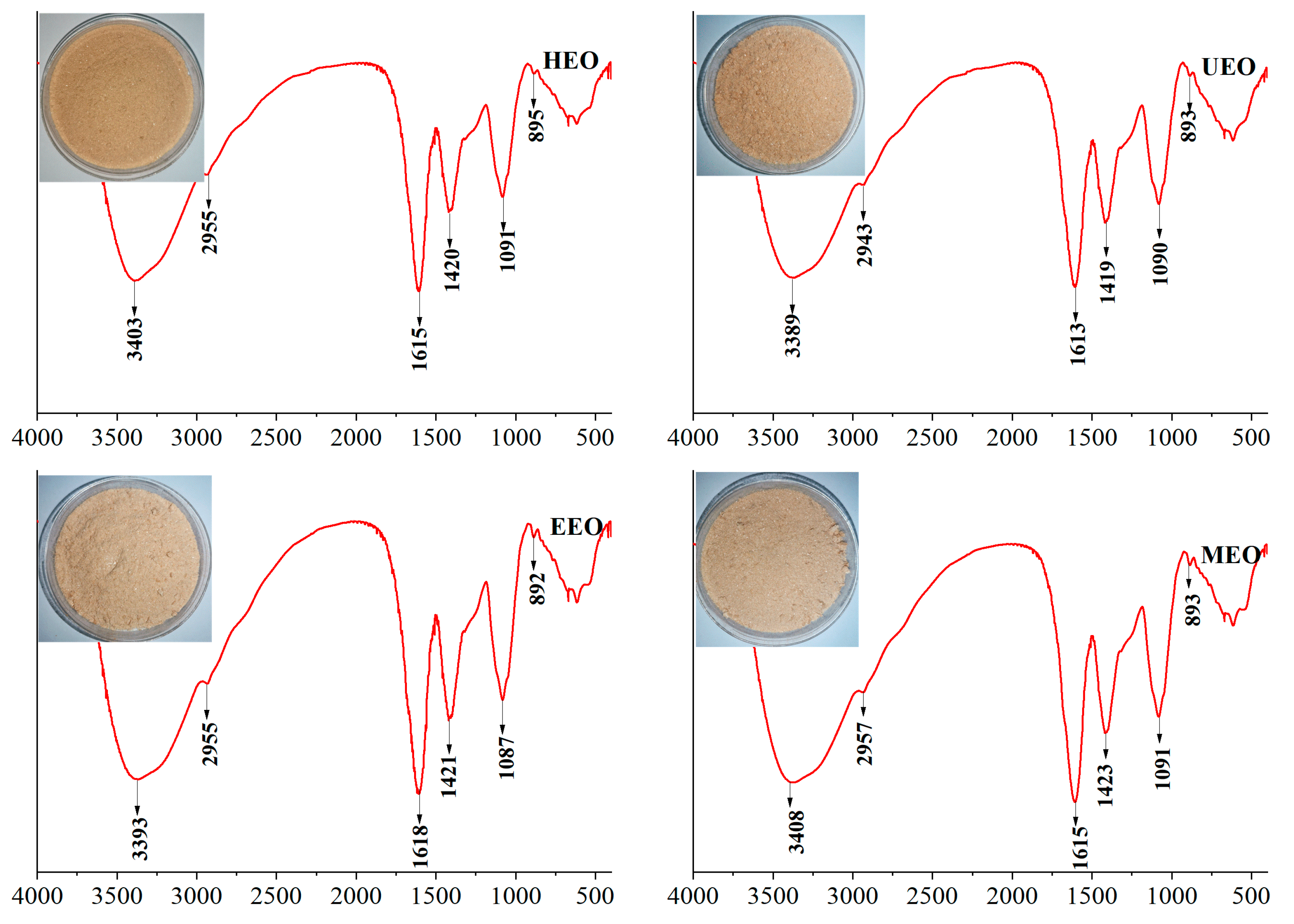 Antioxidants 10 01842 g004