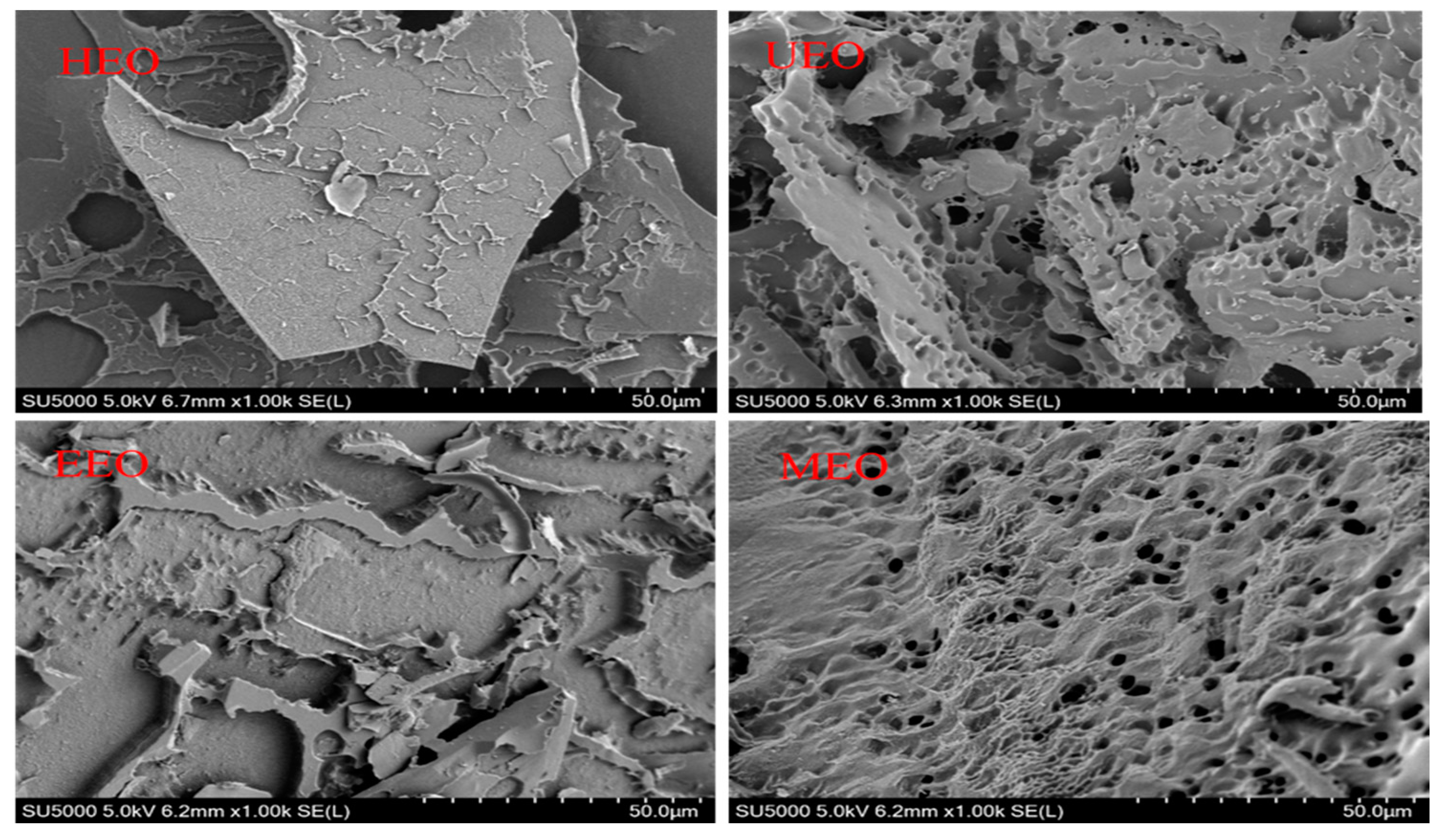 Antioxidants 10 01842 g006