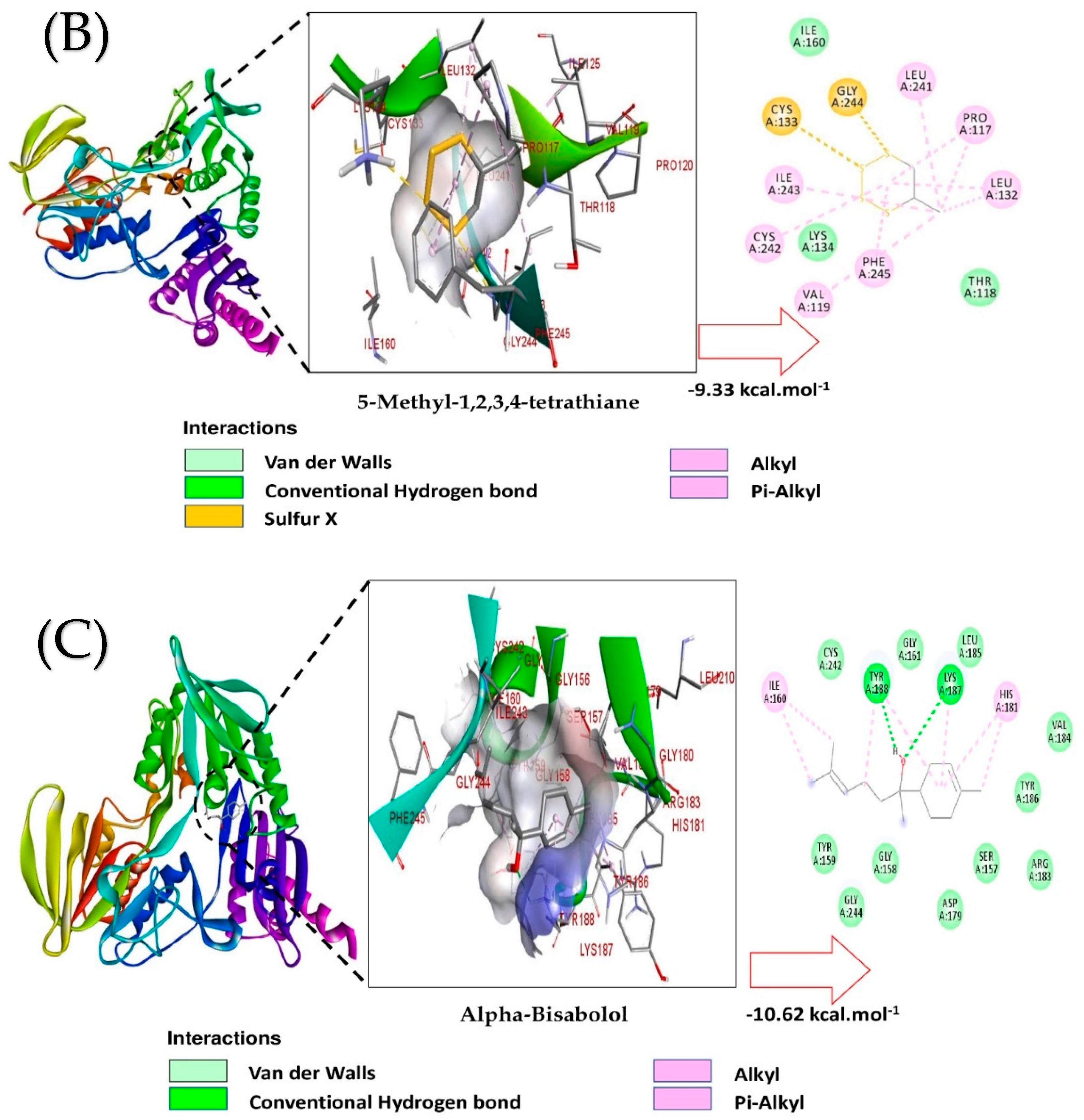 Antioxidants 10 01844 g001b