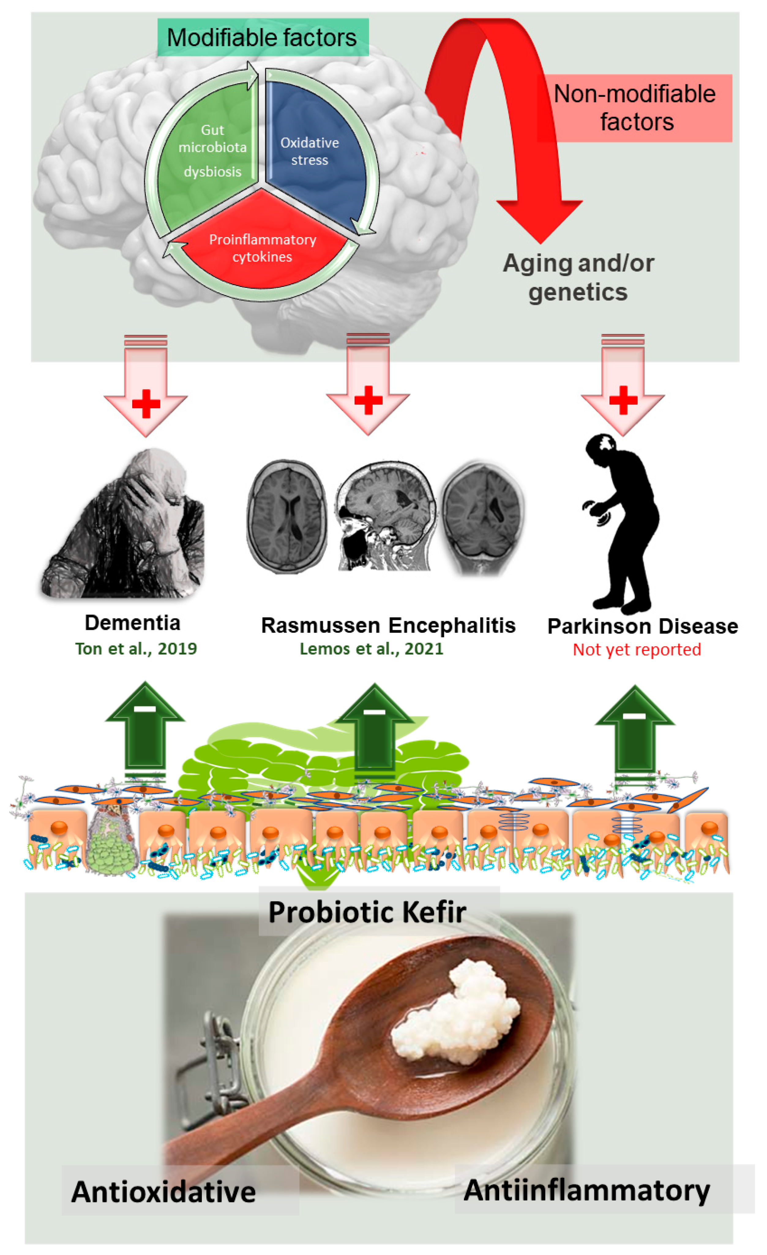 Antioxidants 10 01845 g005