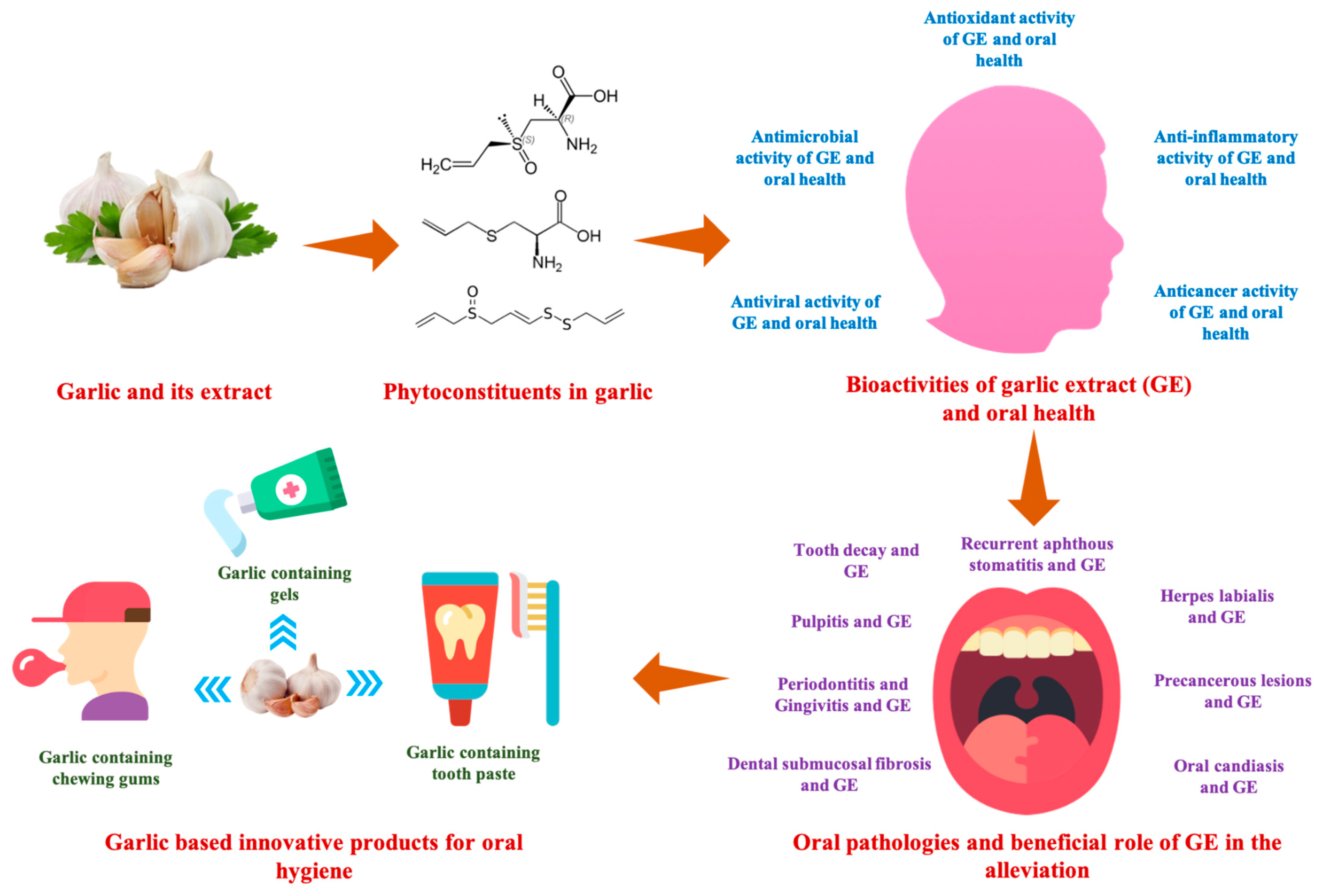 Antioxidants 10 01847 g001 Antioxidants 10 01847 g001