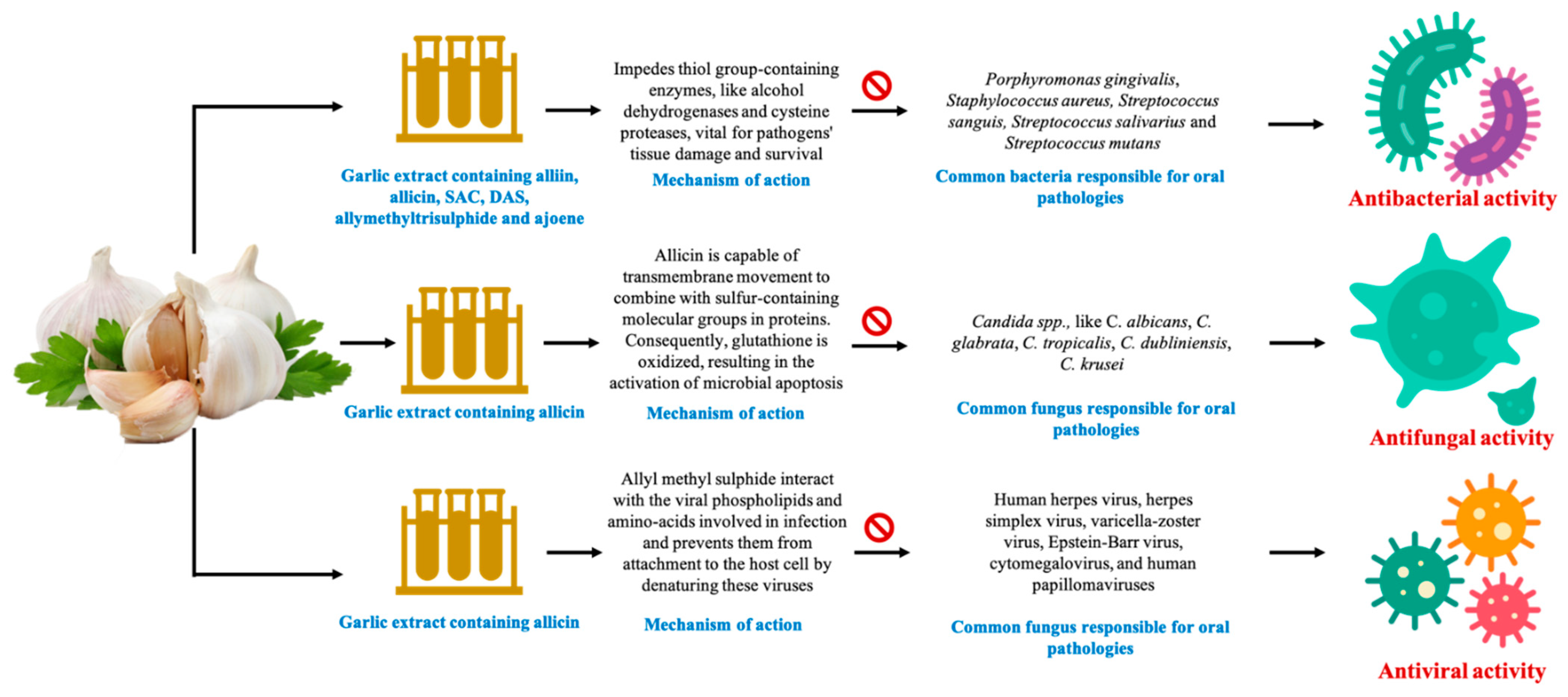 Antioxidants 10 01847 g004 Antioxidants 10 01847 g004