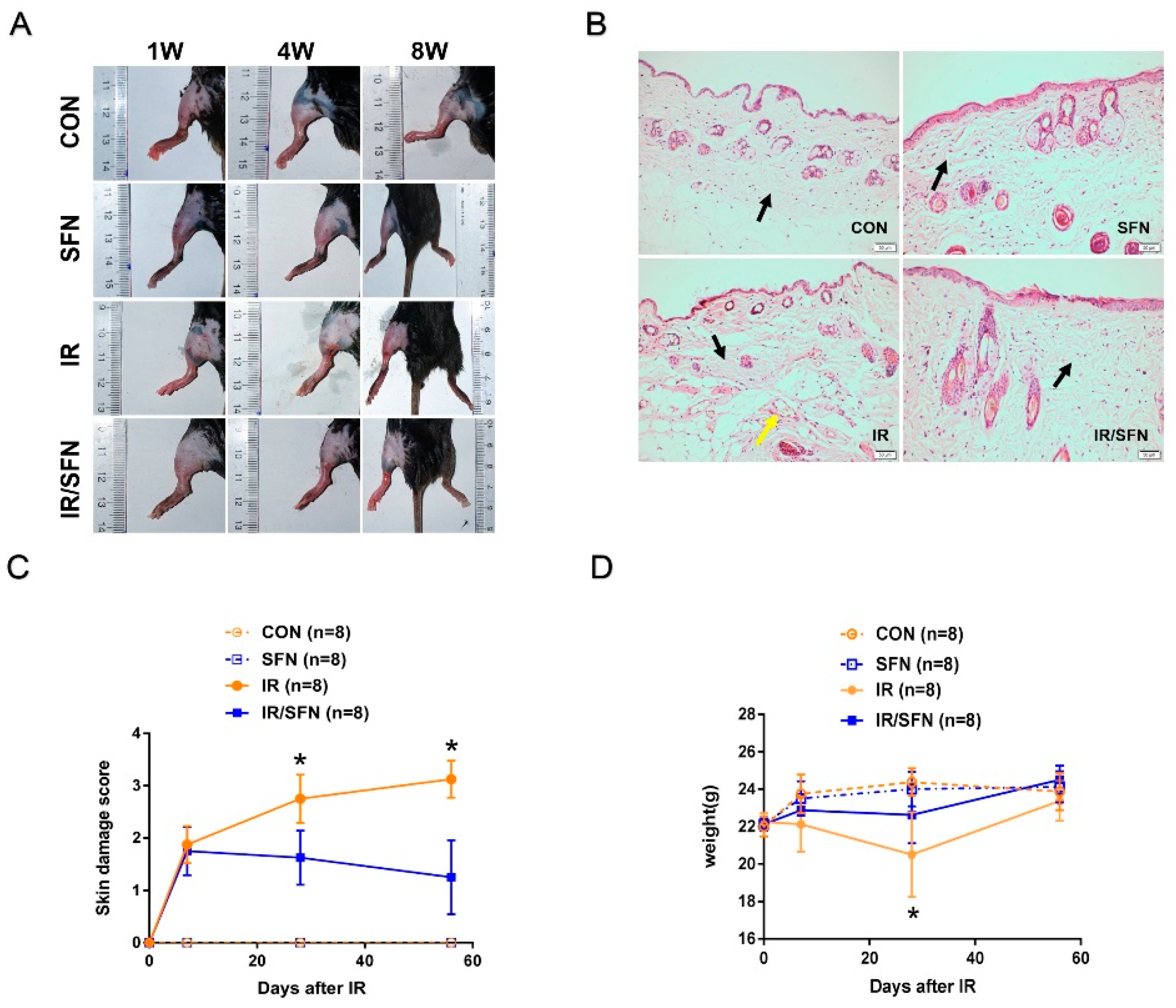 Antioxidants 10 01850 g001
