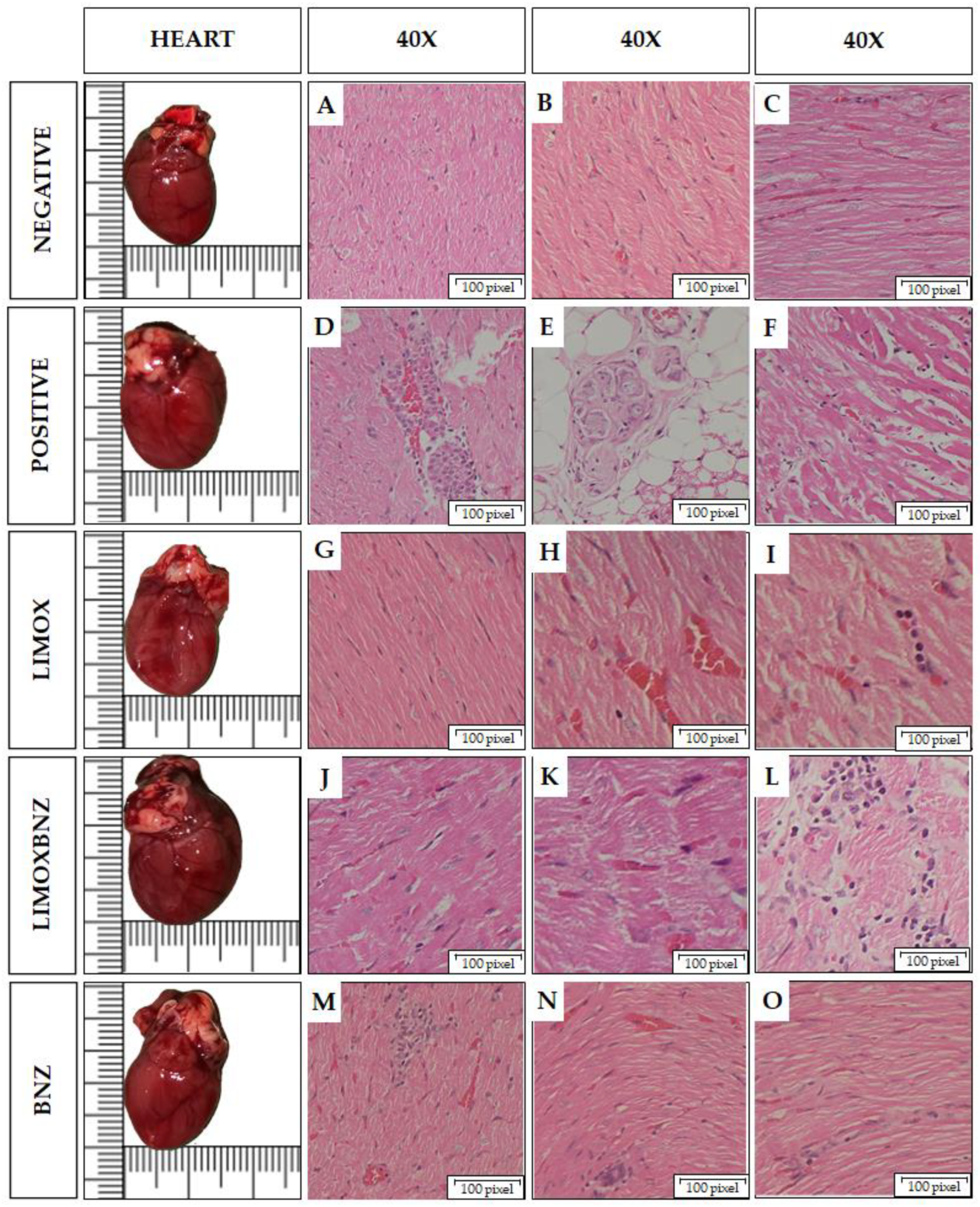 Antioxidants 10 01851 g002