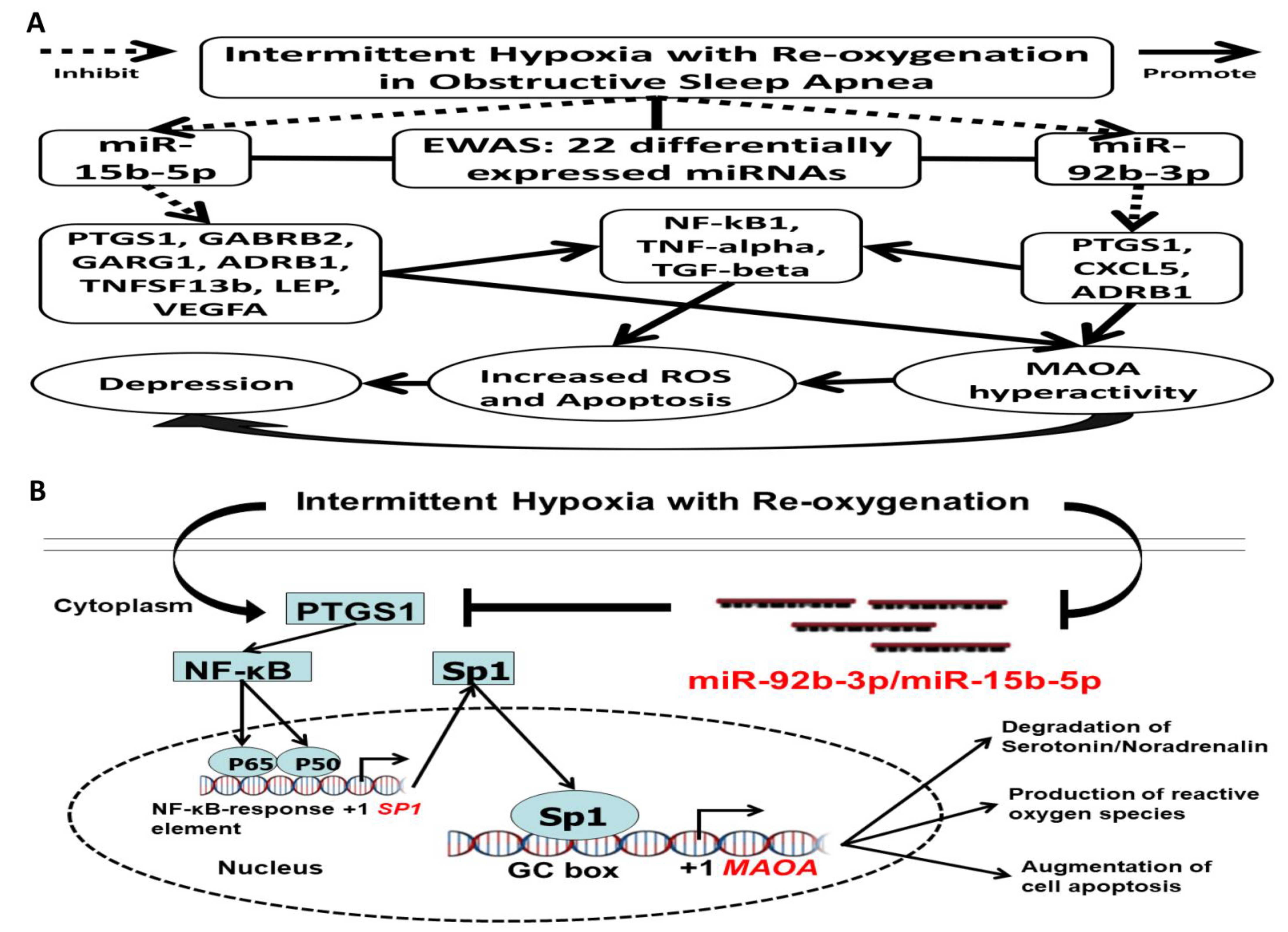 Antioxidants 10 01854 g011