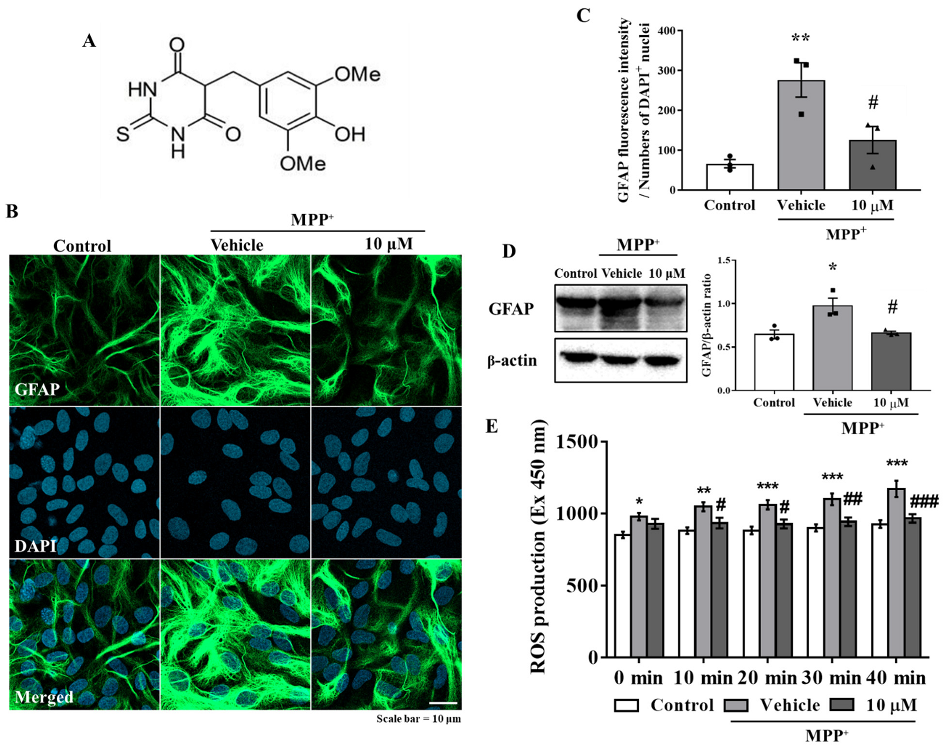 Antioxidants 10 01855 g001