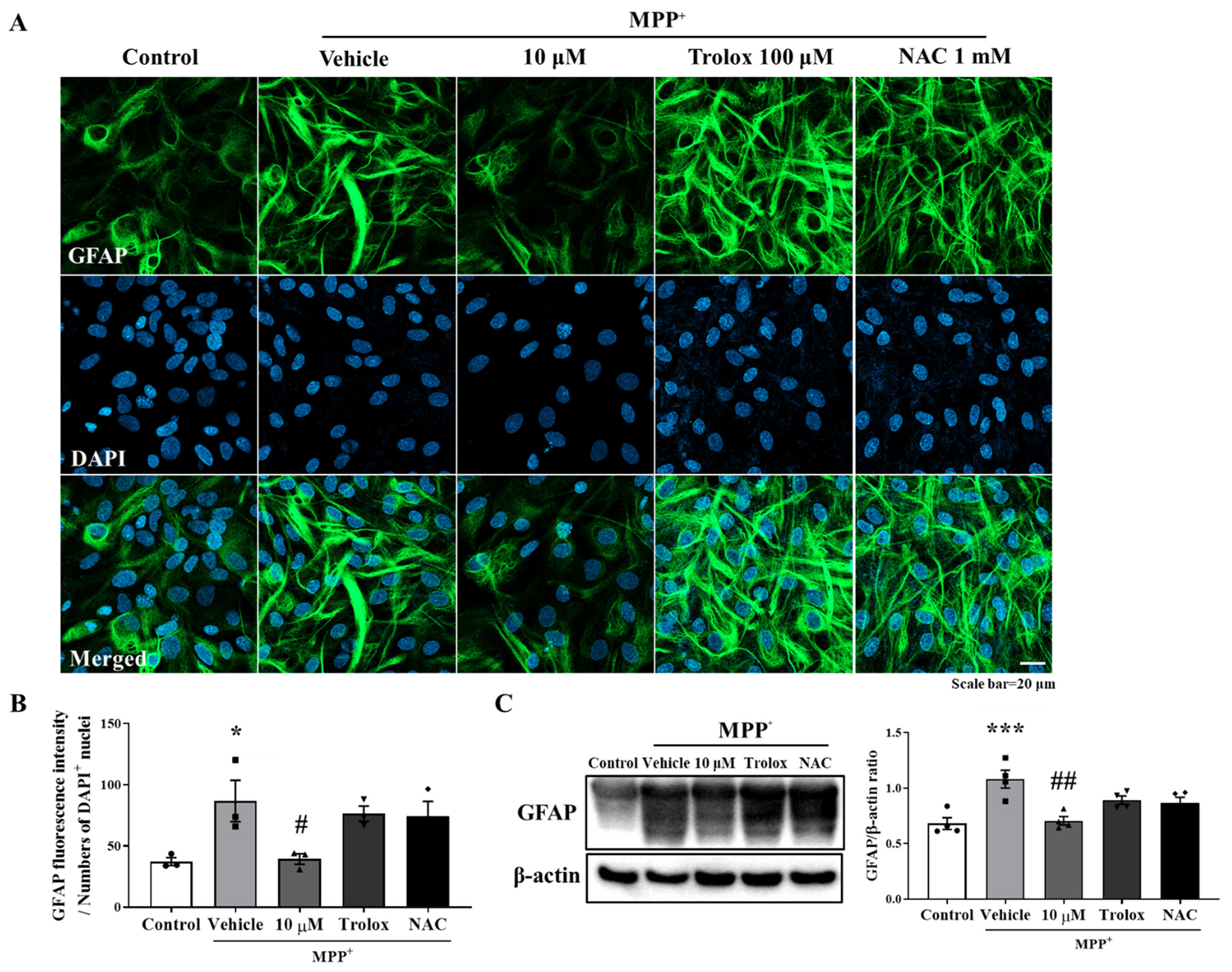 Antioxidants 10 01855 g002