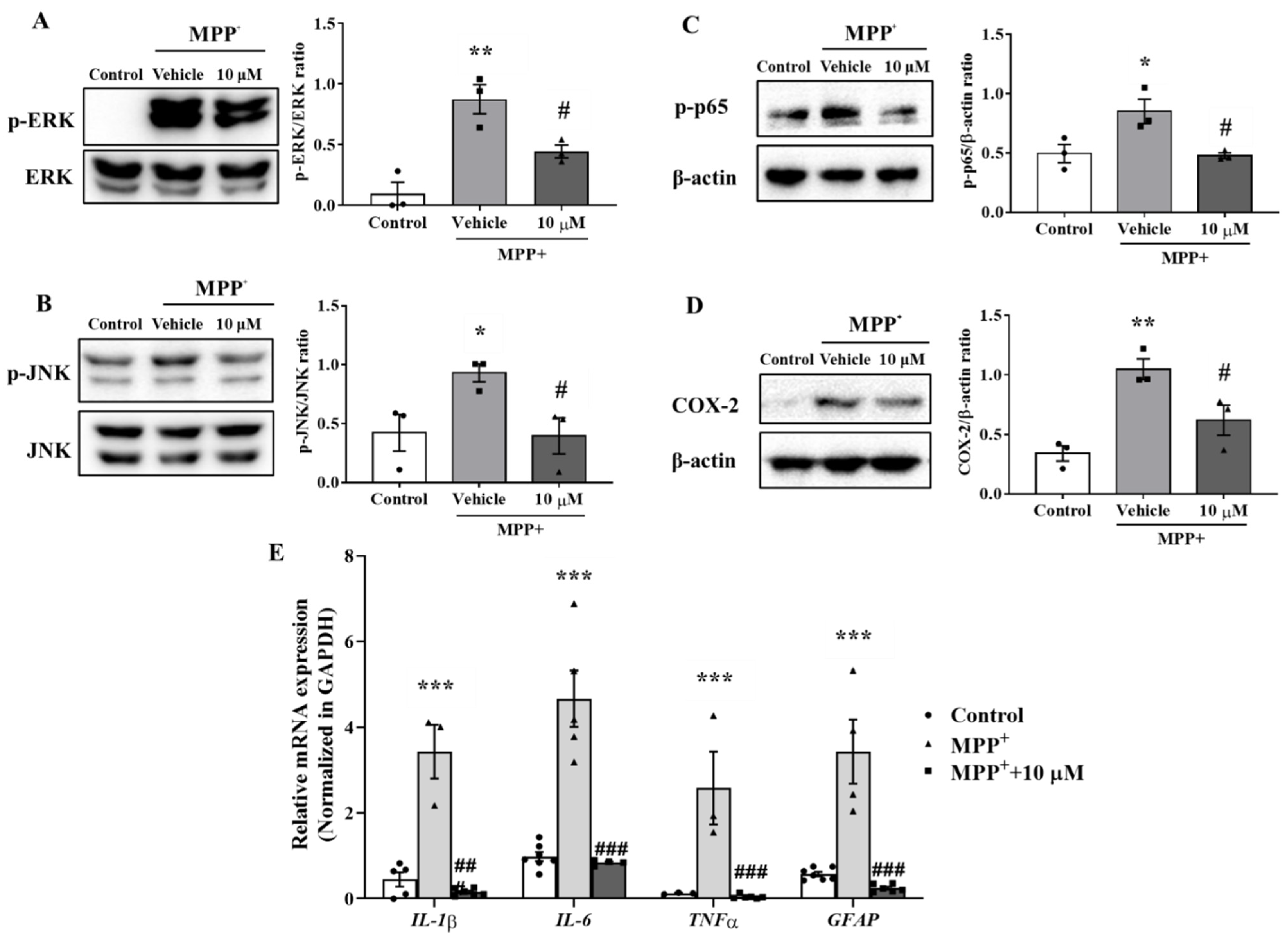 Antioxidants 10 01855 g003