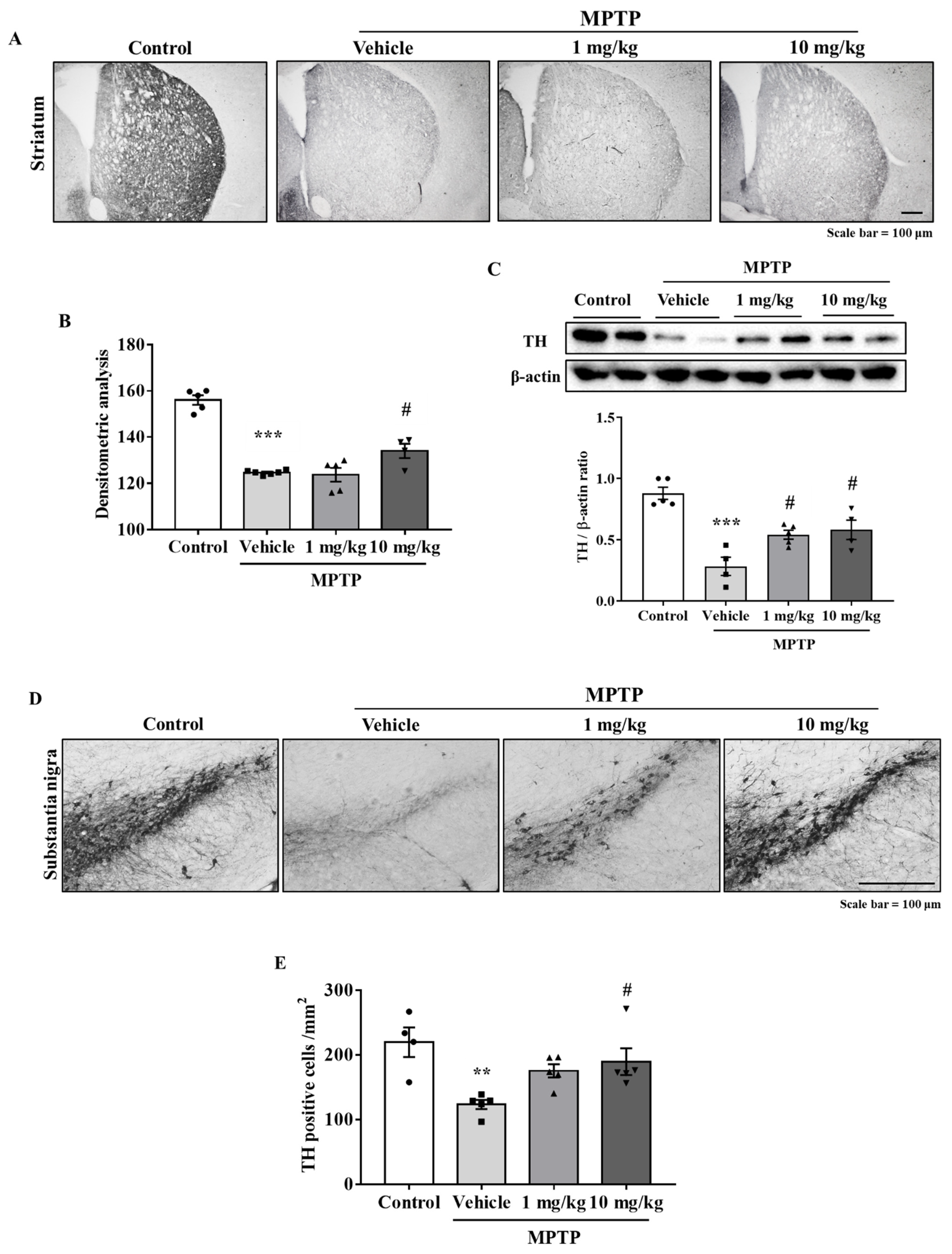Antioxidants 10 01855 g005
