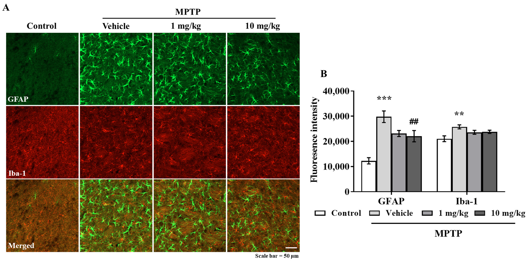 Antioxidants 10 01855 g006a